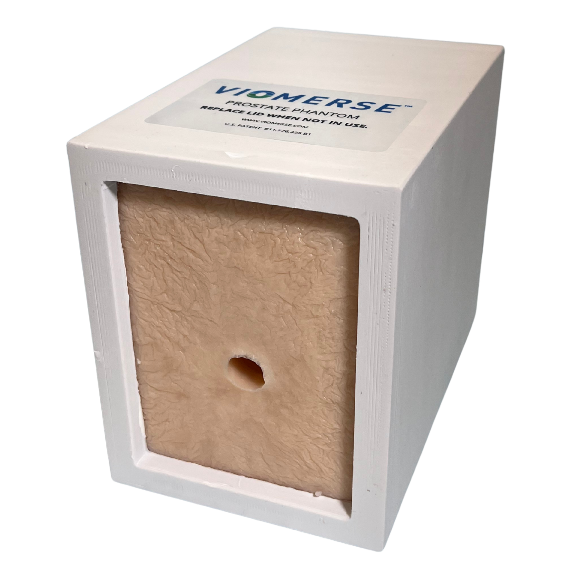 Prostate Phantom With Lesions