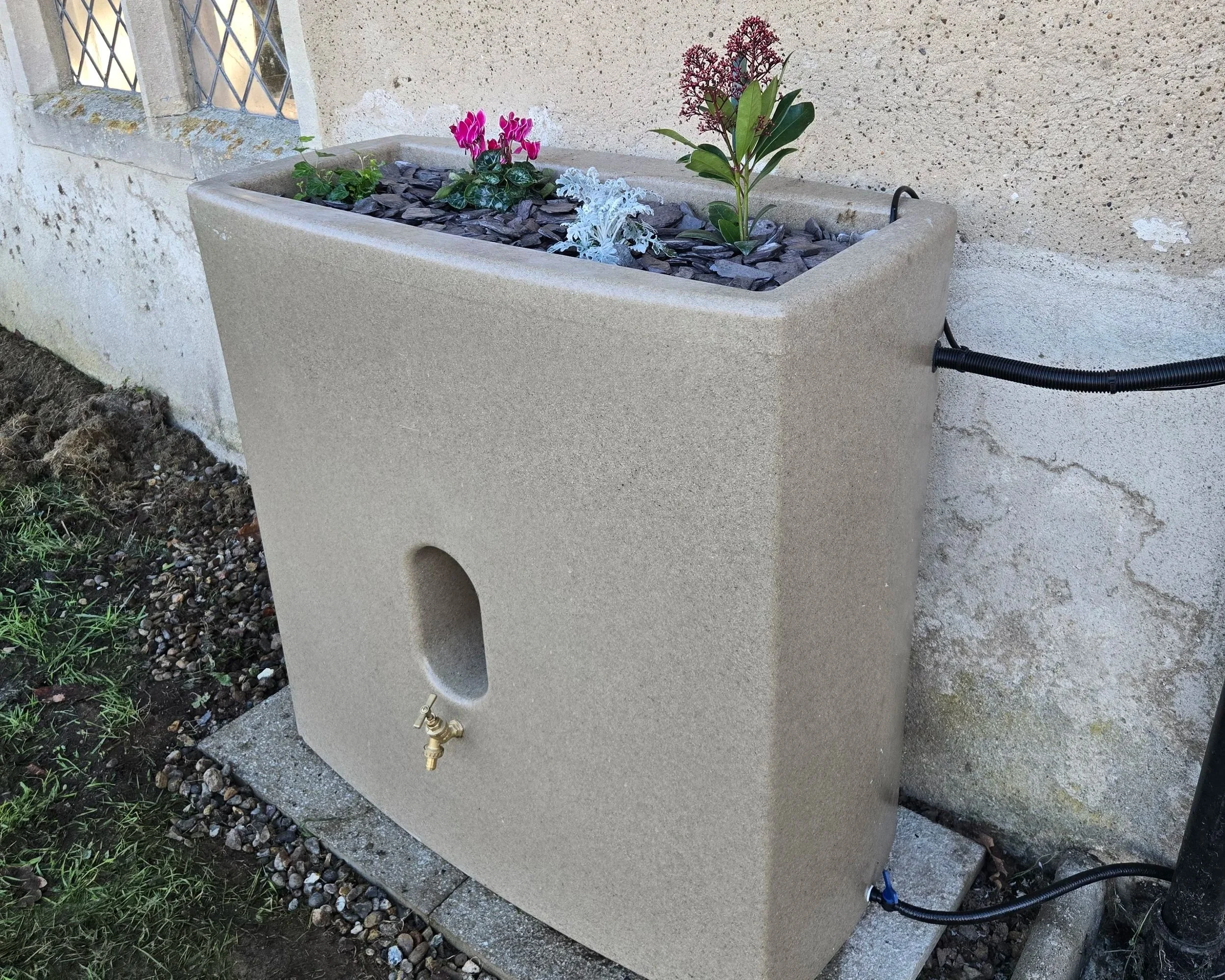 Friston St Mary the Virgin