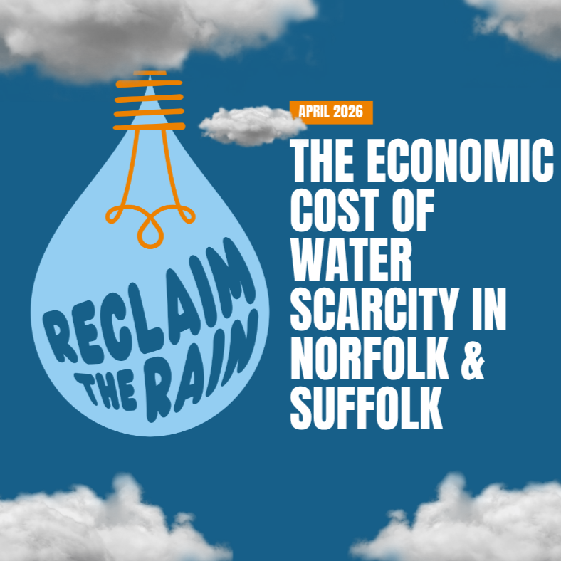 Economic Cost of Water Scarcity Report