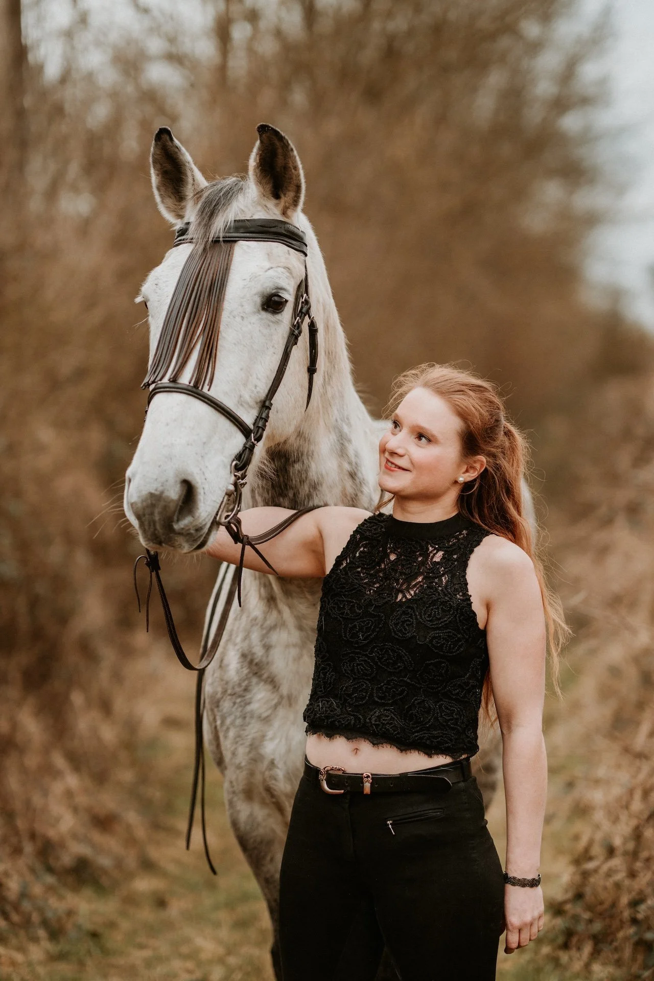 Photographe cheval Somme