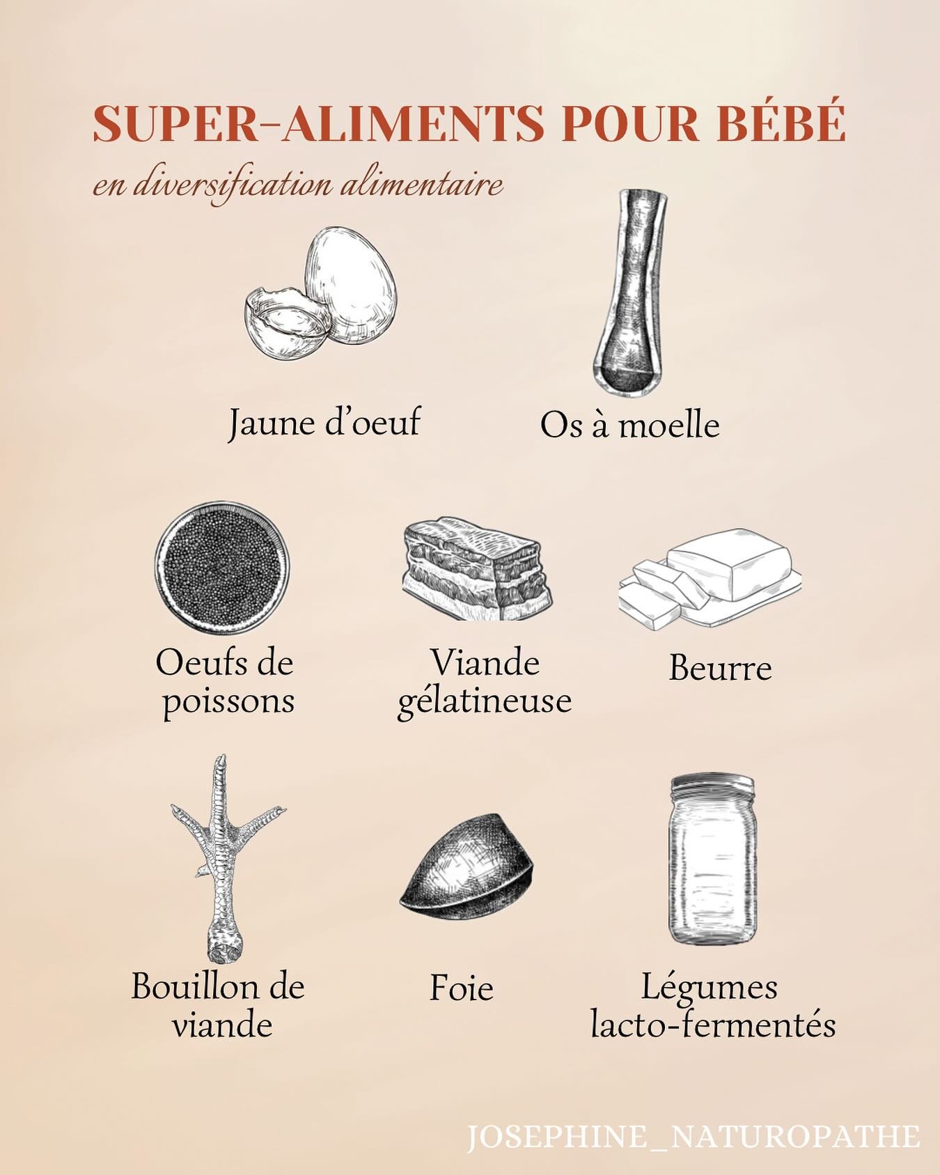Les b&eacute;b&eacute;s &amp; les enfants ont besoin d&rsquo;aliments extra nutritifs pour leur cerveau en pleine croissance

Les graisses et les prot&eacute;ines animales fournissent &agrave; l&rsquo;organisme des nutriments essentiels, notamment de