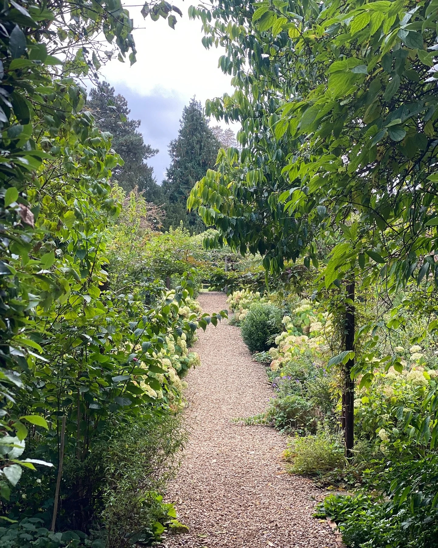 Inspired by sunlit days and slow Mediterranean warmth, Palermo carries a gently uplifting note that brightens the room without ever taking over.
A quiet glow of a scent, soft apricot, warm fig, and a grounding touch of patchouli.
Simple, fresh, and b