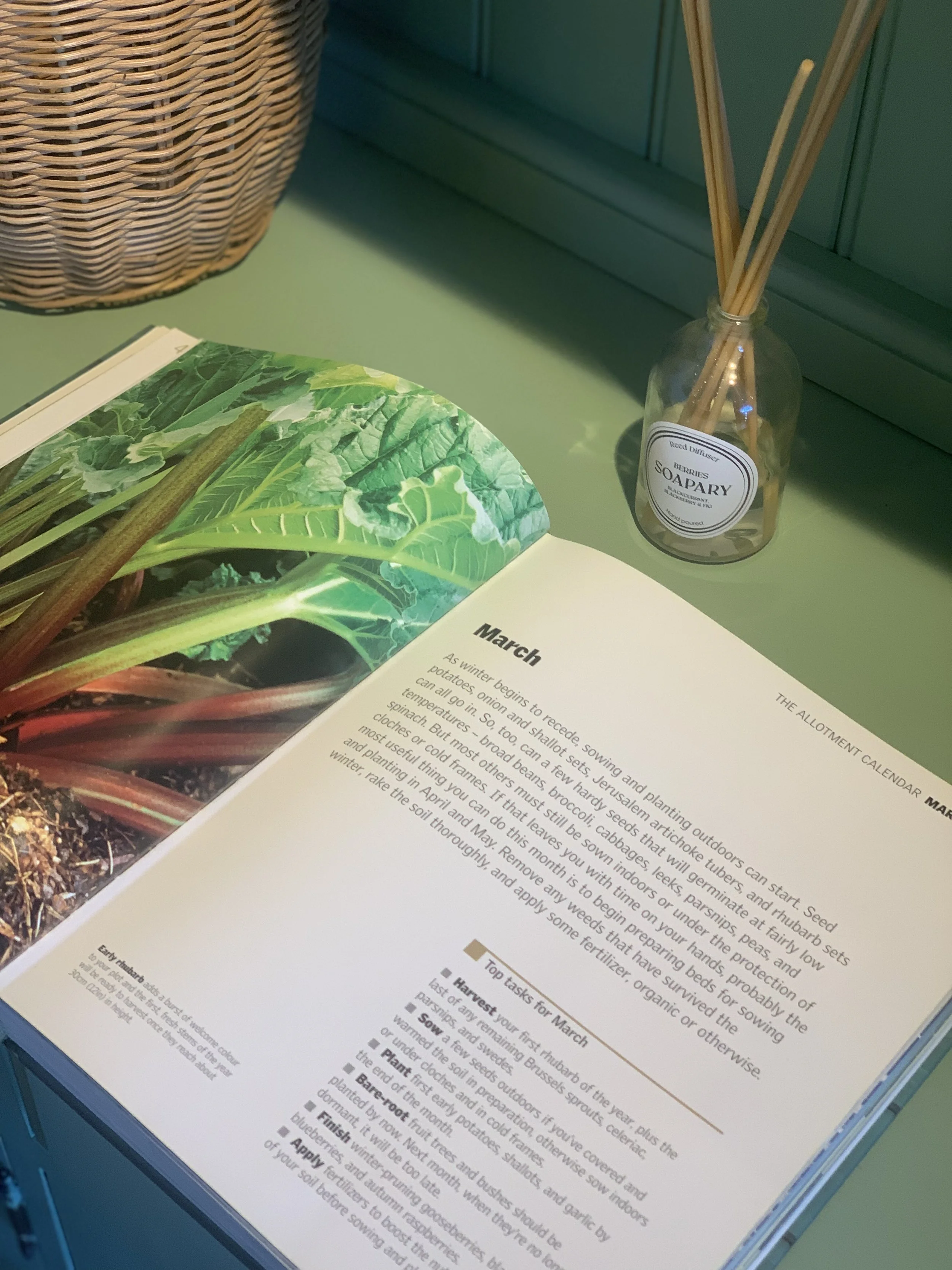The Quiet Joy of the Allotment: Slow Living, Scent and Wellbeing