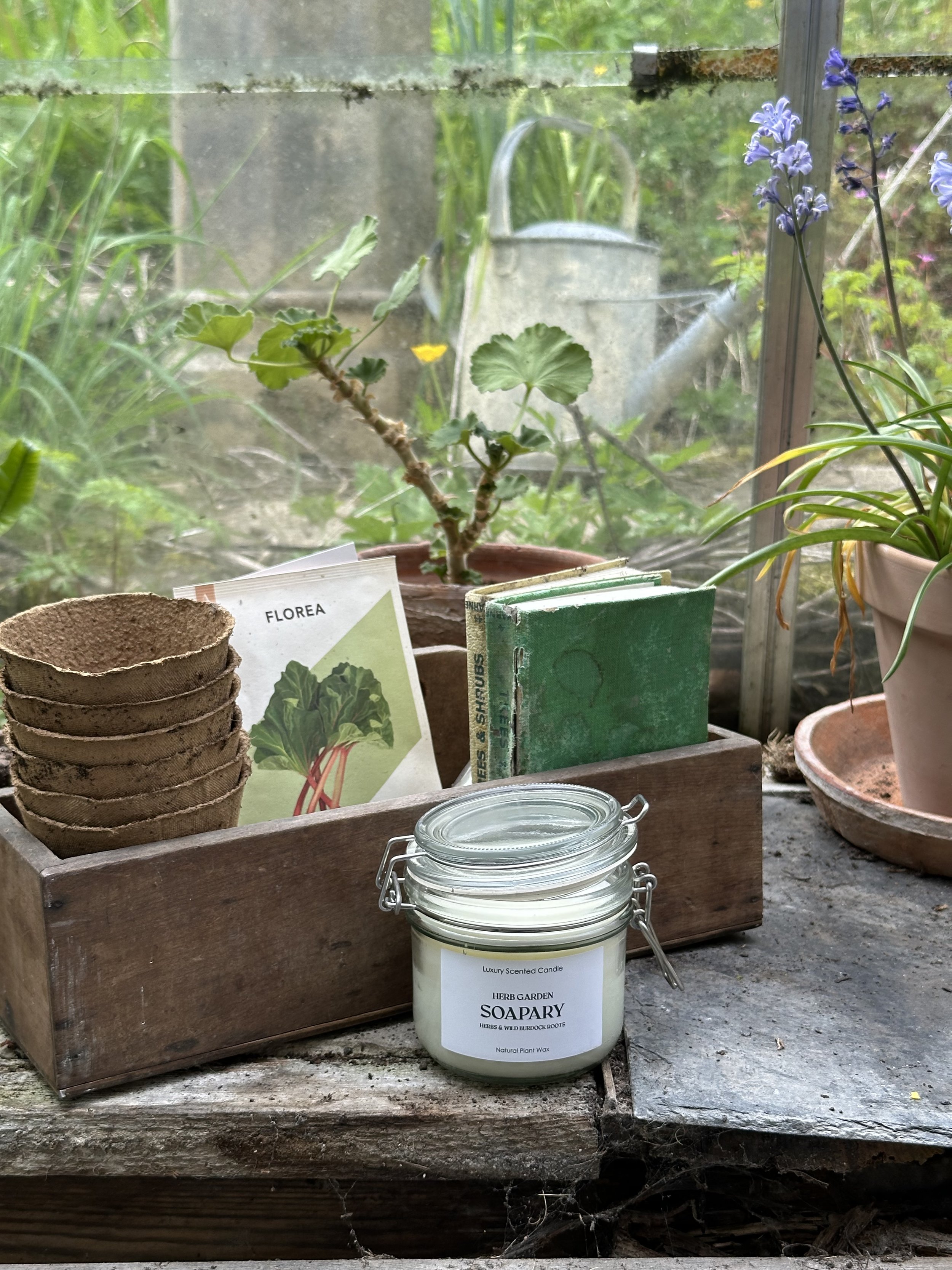 Botanical candle in greenhouse