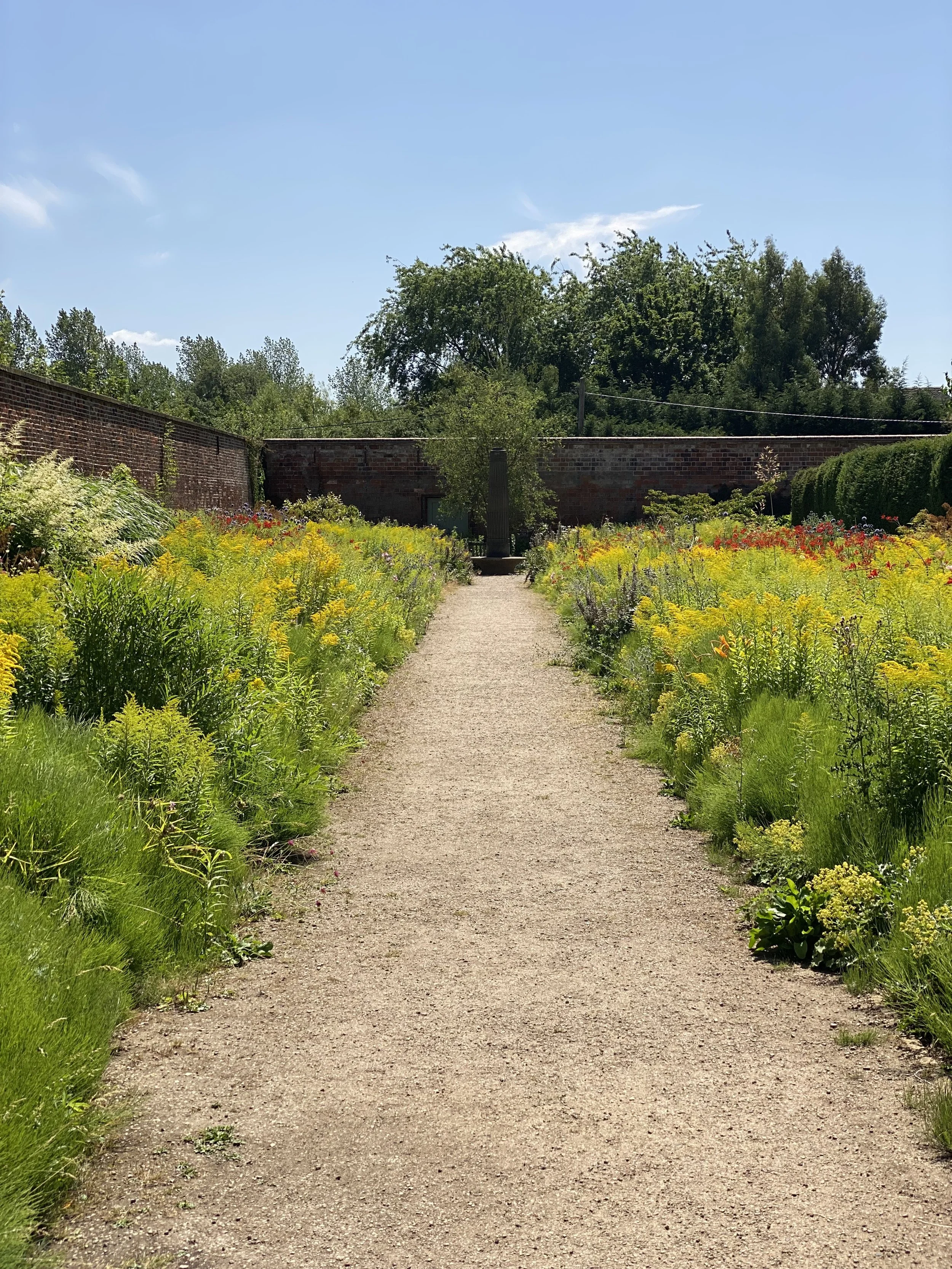 flowers Growing in the Walled Graden