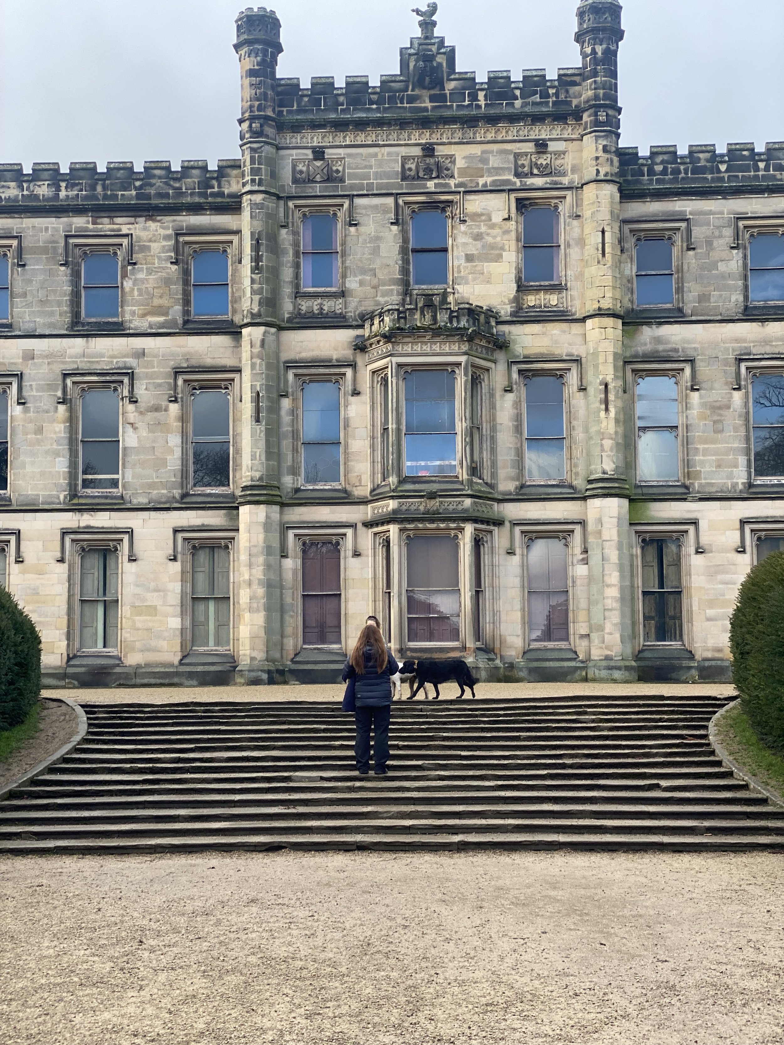 A woman and her dog walking up the steps via the east avenue at Elvaston Castle