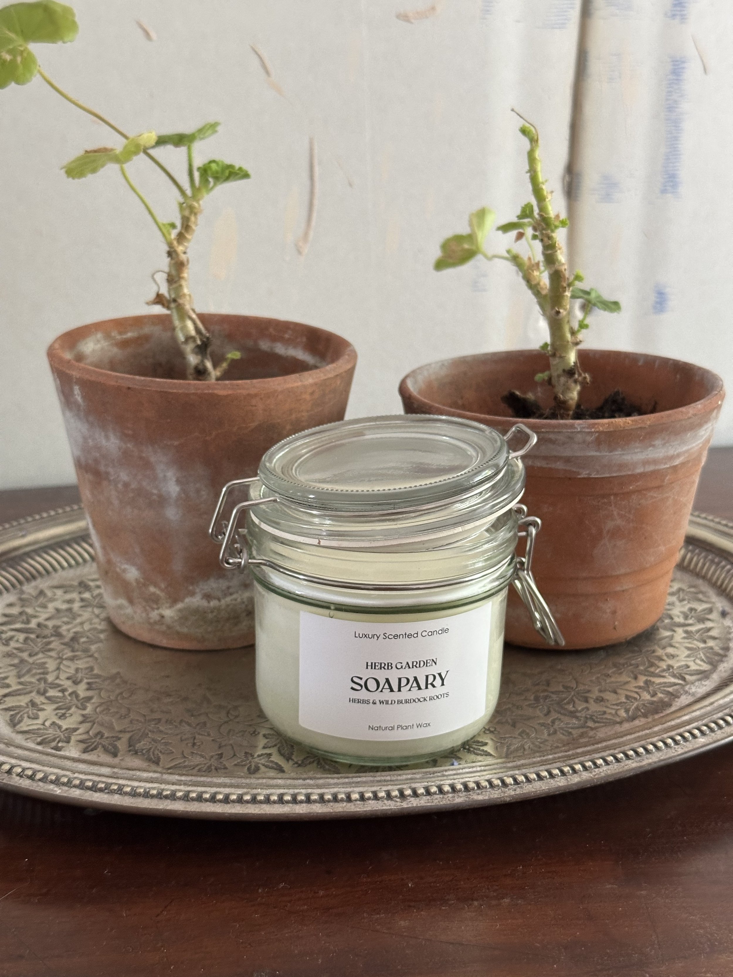 Two potted plants with dried stems and green leaves on a decorative silver tray. In front is a candle labeled 'Luxury Scented Candle' with herbal and wild burdock roots, placed in a glass jar.