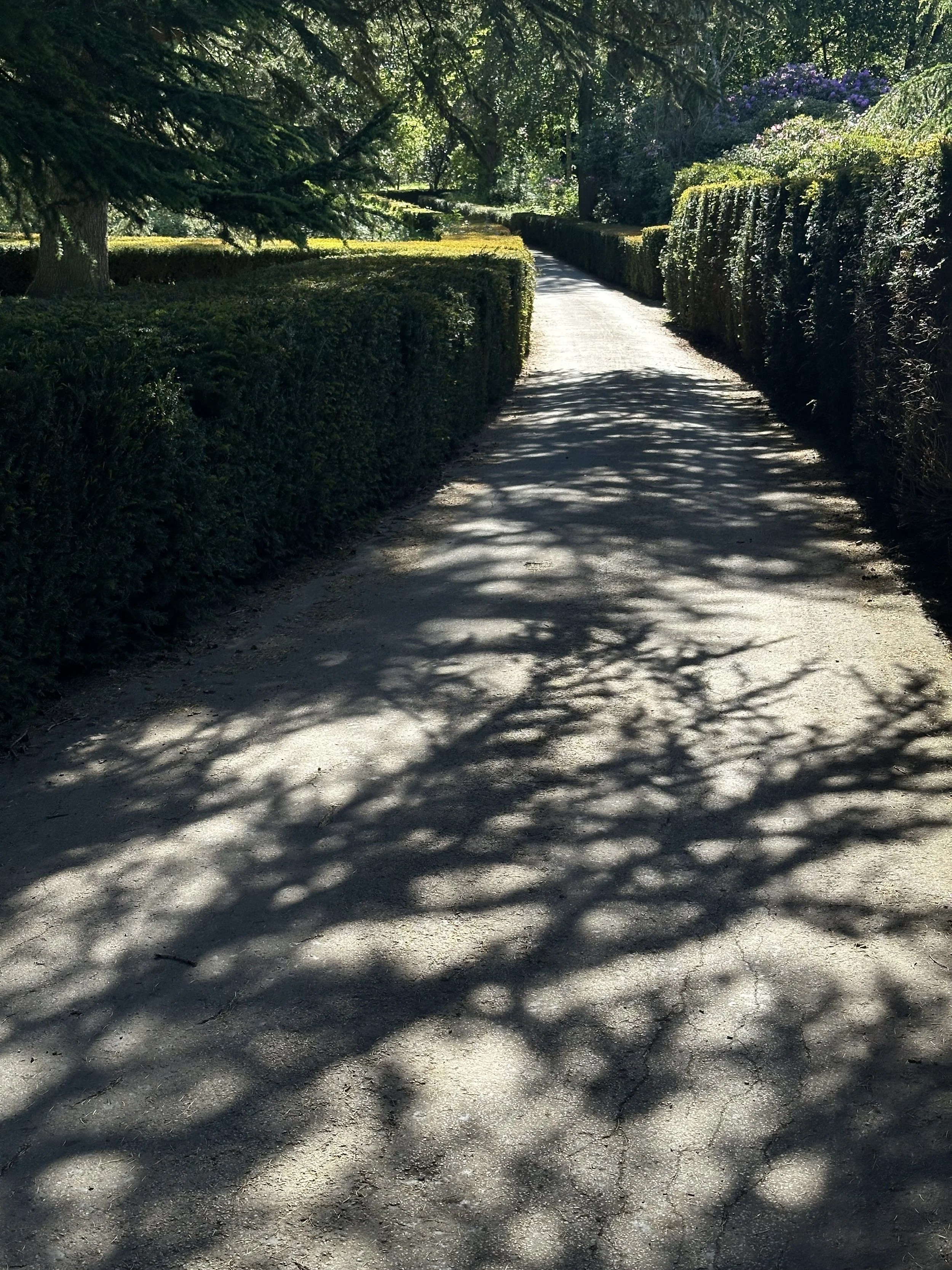 slow walks through the Elvaston Estate