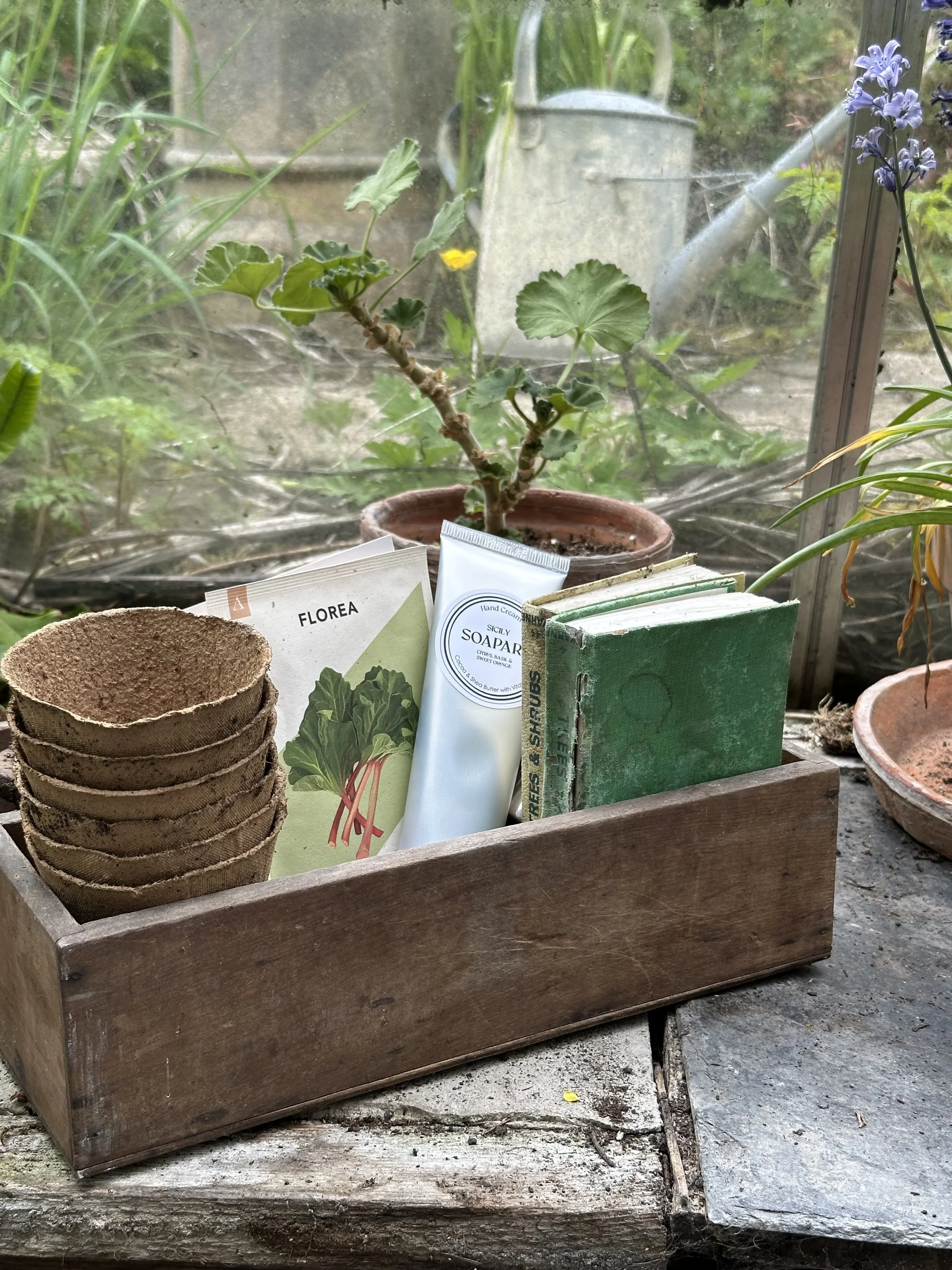A wooden planter box with a small potted plant, several biodegradable pots, a book, and hand cream, set on a weathered wooden surface inside a greenhouse or garden space.