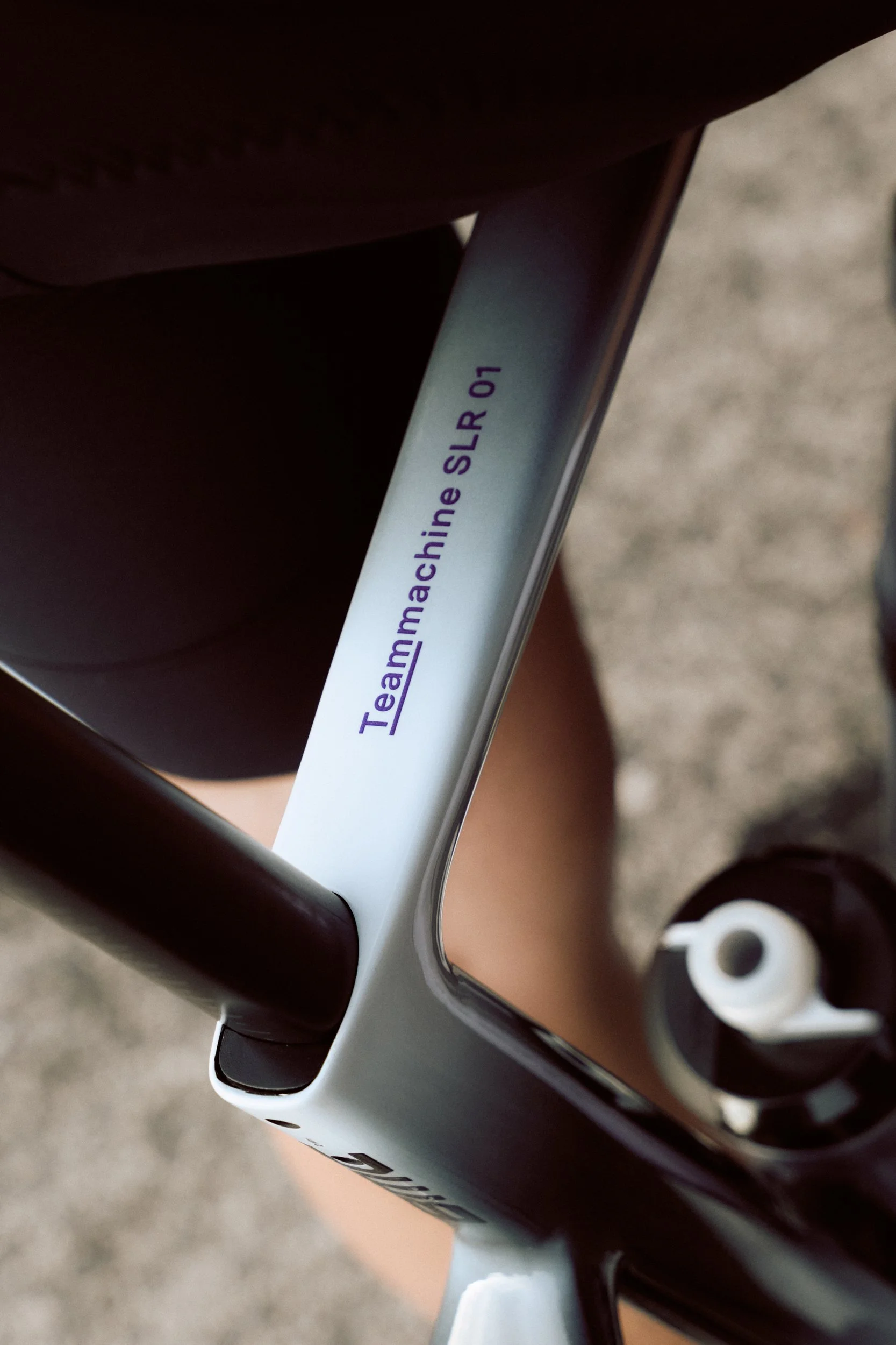 Teammachine SLR 01 Action L1325540_lukaspiel.jpg