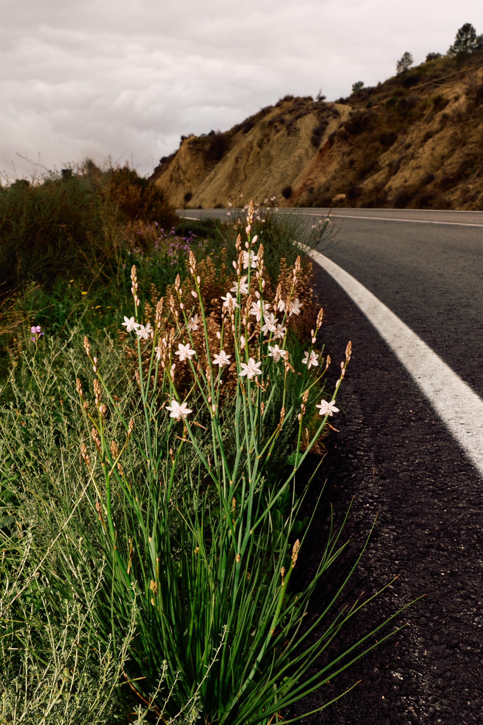 ACTION Speedmachine 01 ONE L1349119_lukaspiel_web.jpg