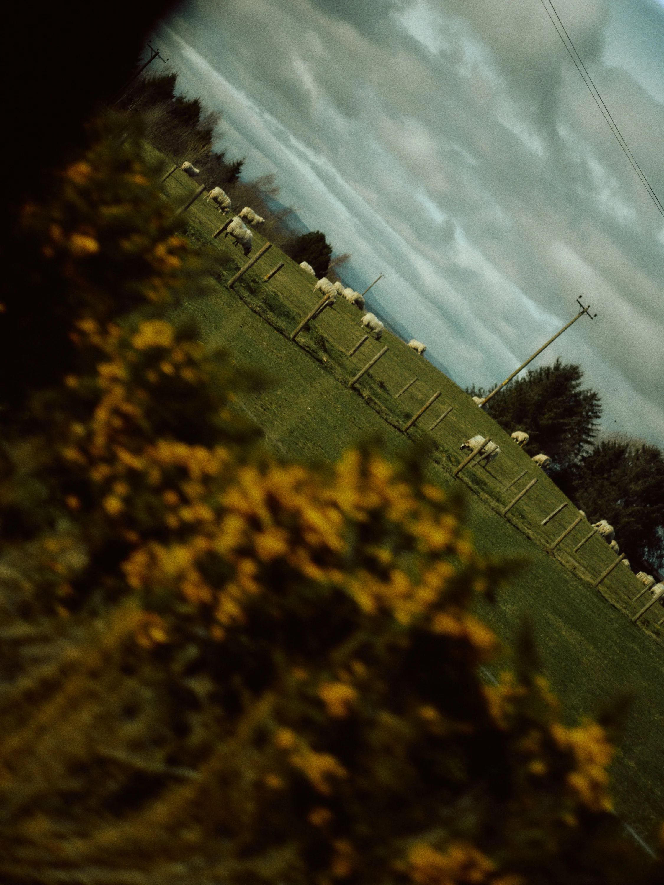 L1023181.jpg