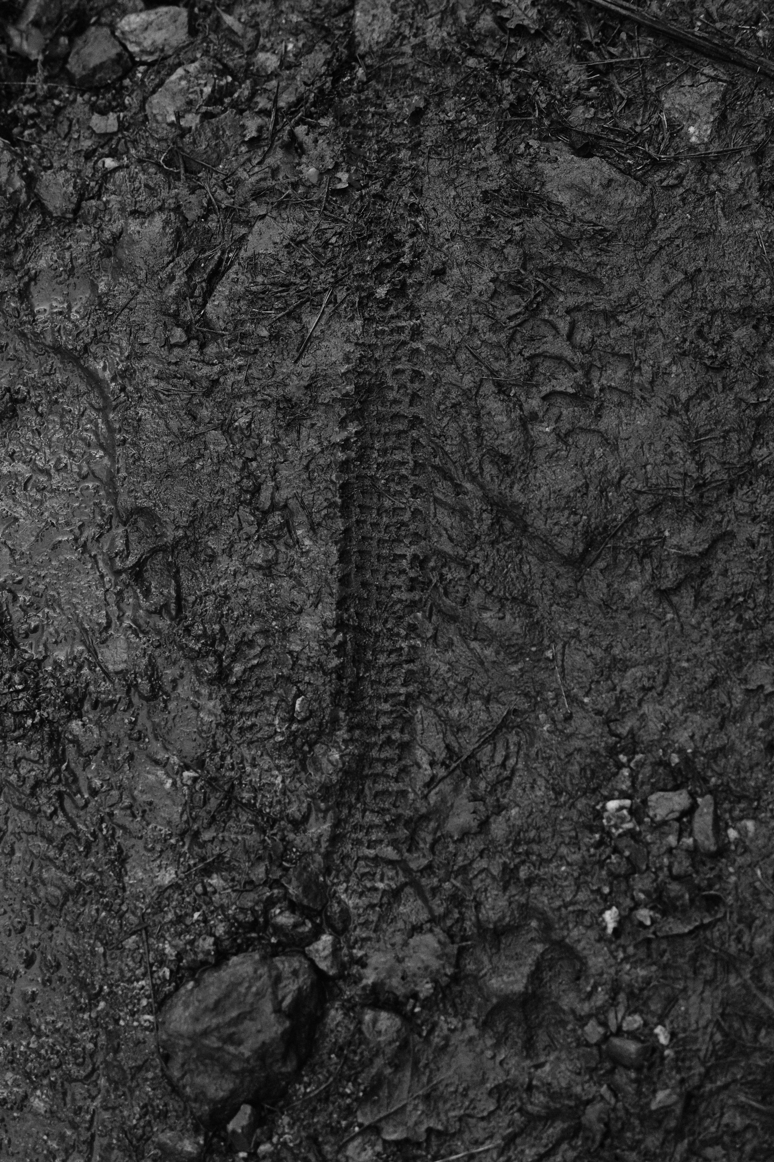 ACTION Urs 01LT ONE L1362597_lukaspiel 1.jpg