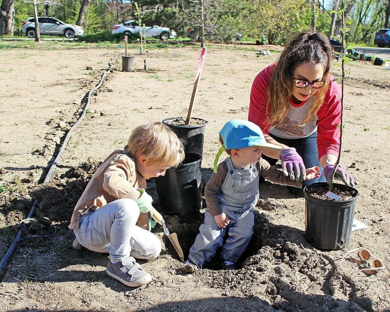 Buff Backyard Orchard Planted!