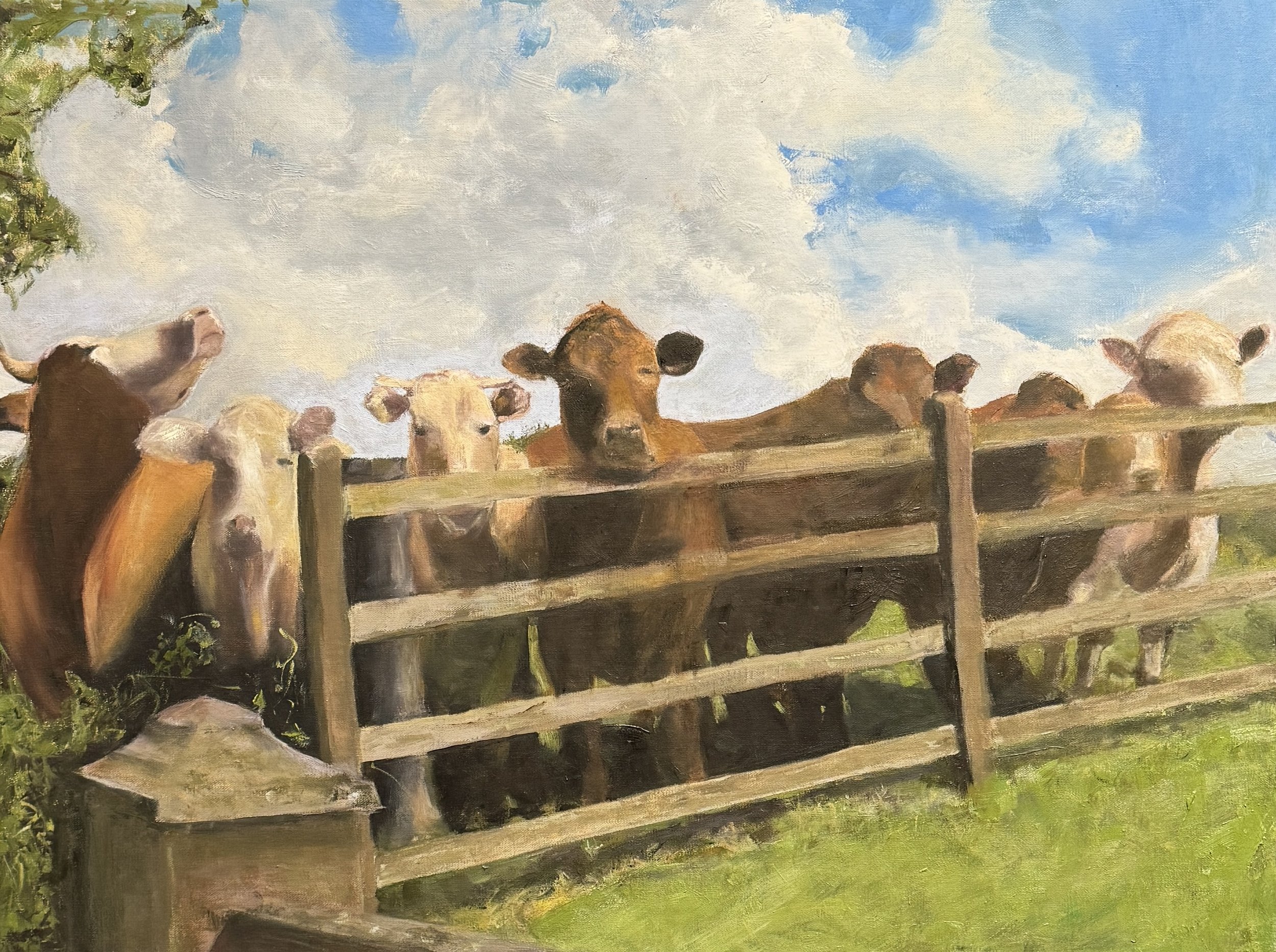 At The Fence
Oil on Canvas 18x24 $650