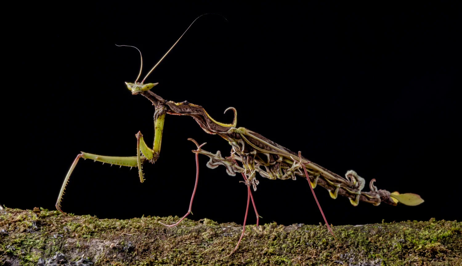 Tim Cockerill-3449.jpg