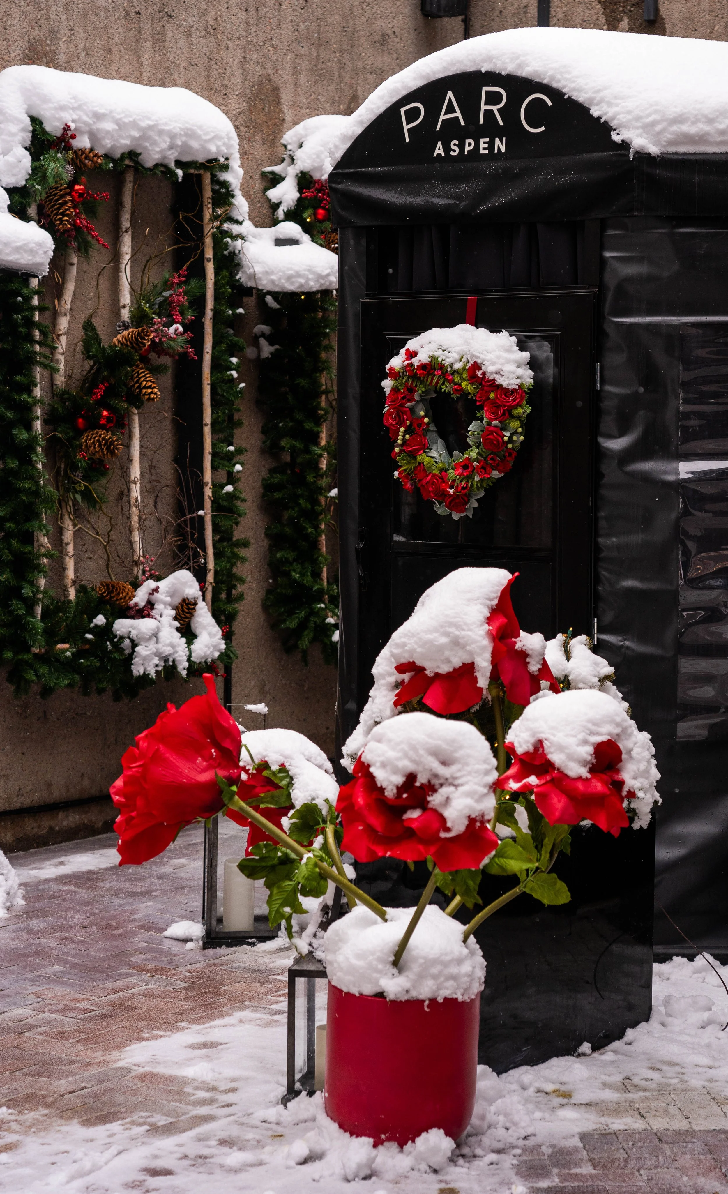 Valentine's Day Dinner