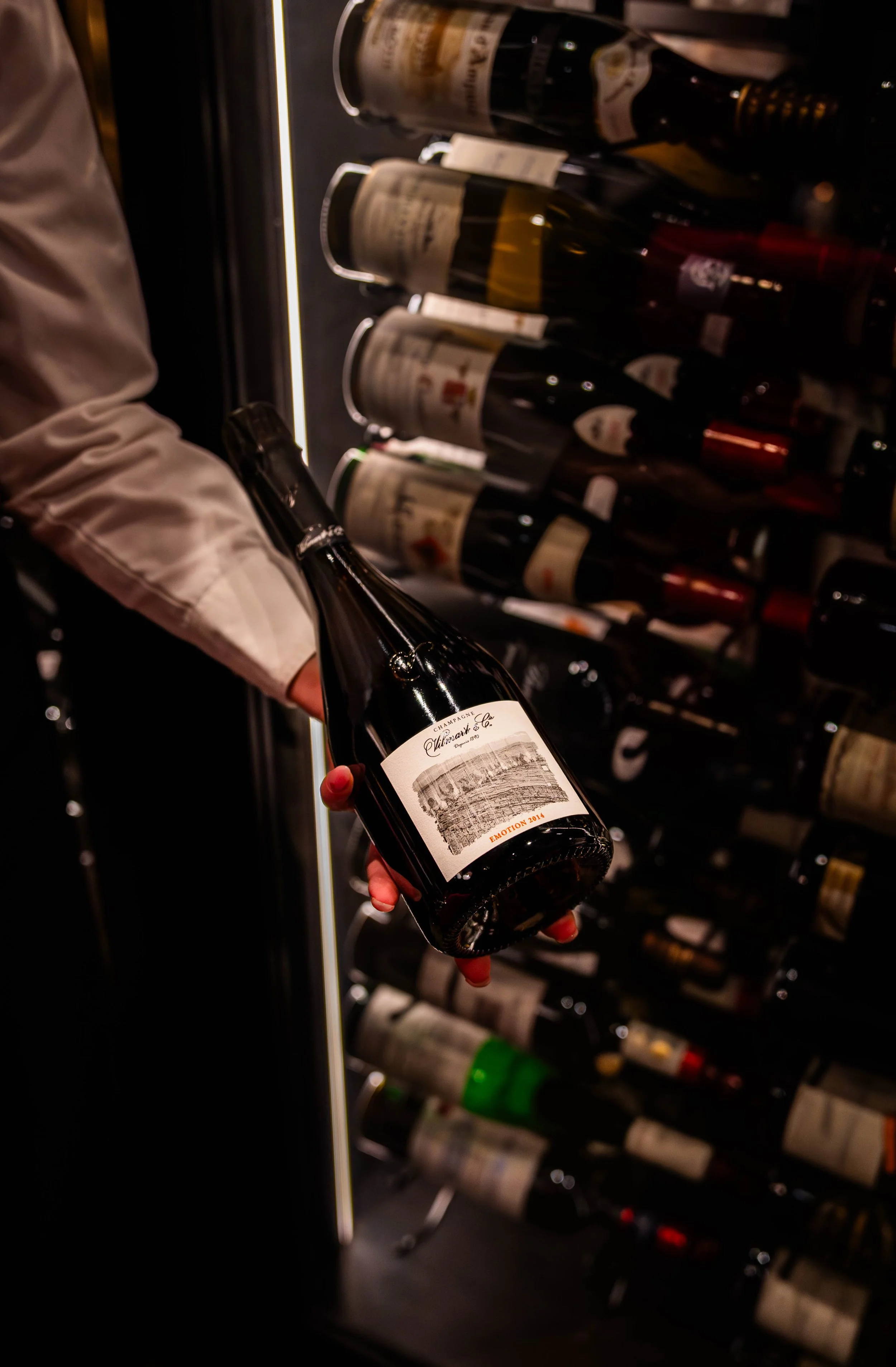 Her Terroir: A Celebration of Women in Wine