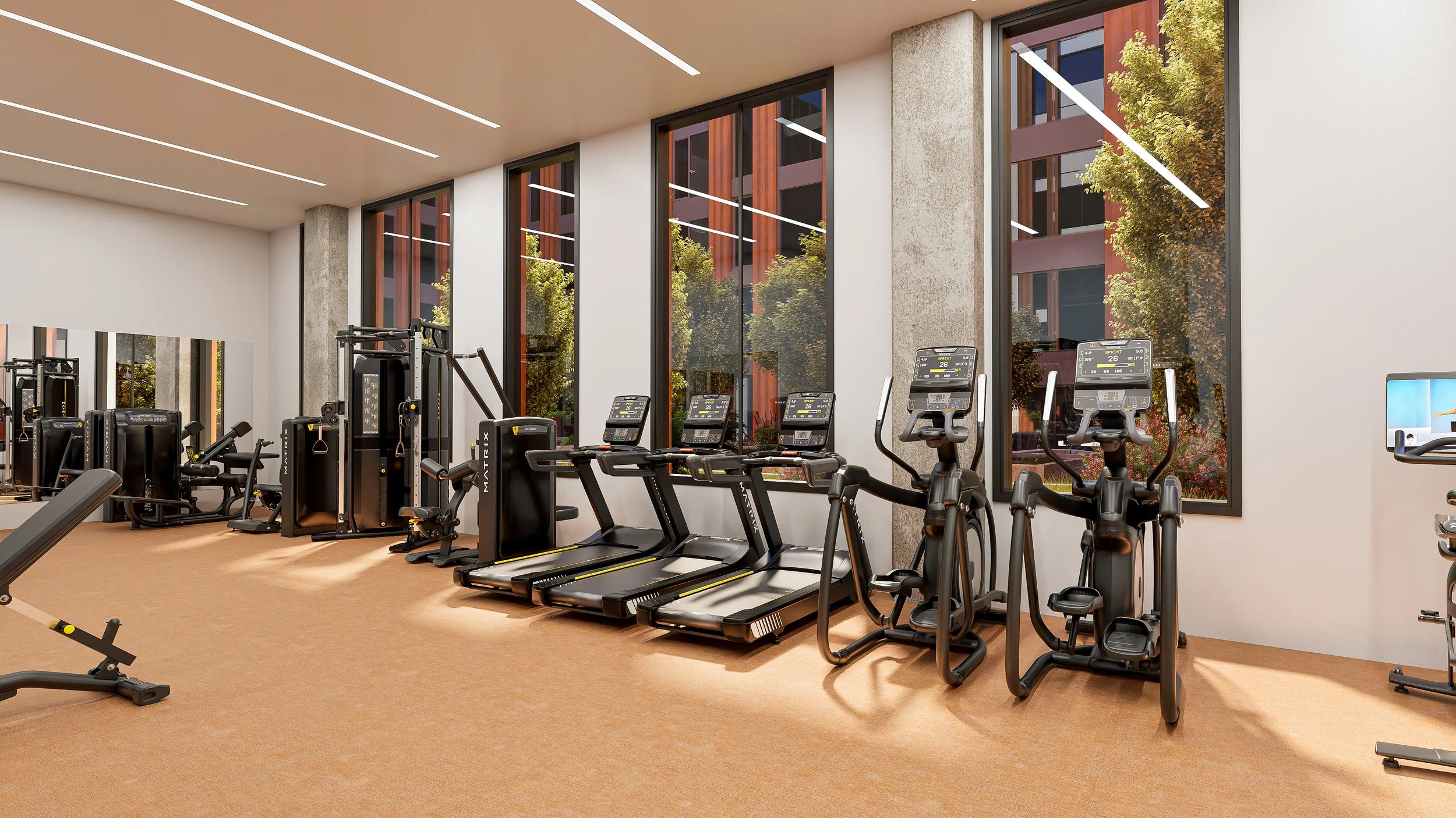 Holloway Apartments Gym - A modern gym with sunlight coming through large windows. Fitness equipment including treadmills and exercise machines are arranged in the space.