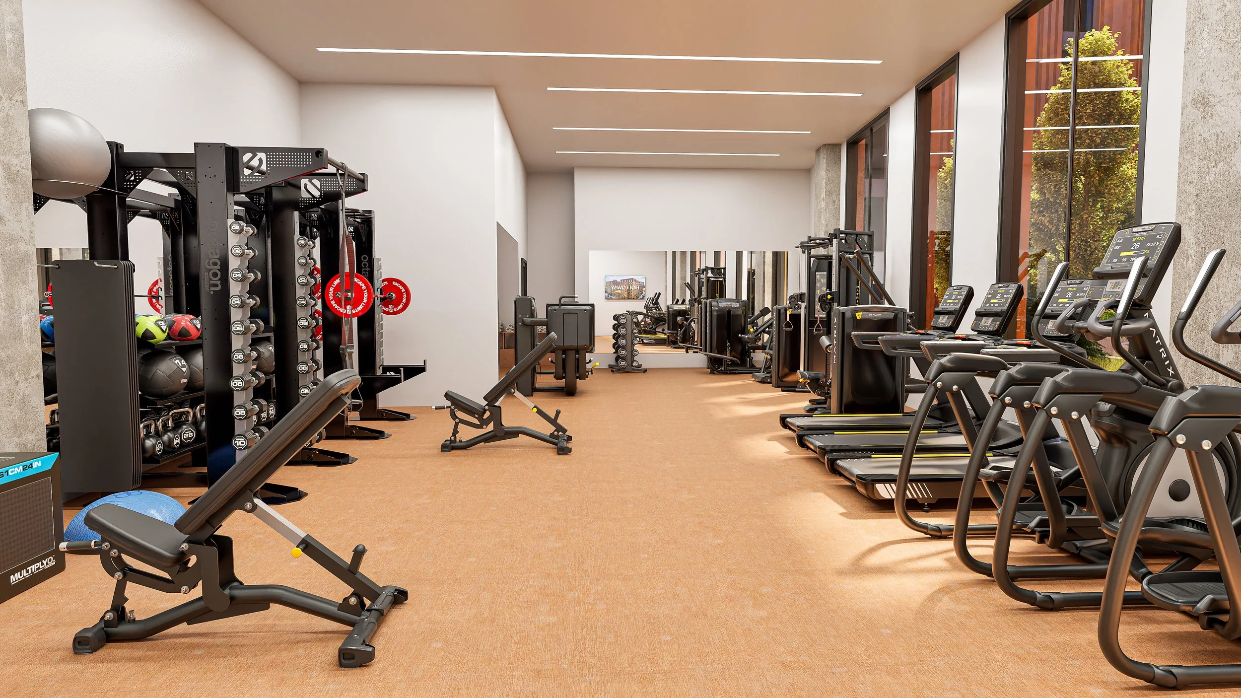 Holloway Apartment Gym