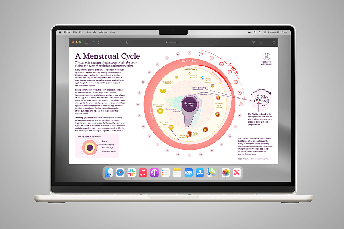 REBIRTH-menstrual-cycle_infographic-screen-mockup.png
