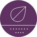Purple circle with a line and a dotted horizontal line inside