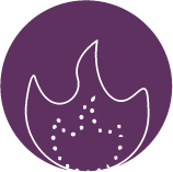 Purple circle with a simple line drawing of a flame or fire shape inside