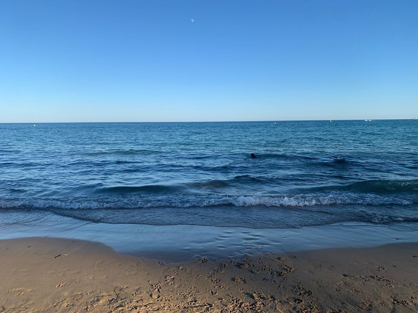 A beautiful end to a very hot day 

#poole #lovepoole #lovepooleuk #branksomedenechine #beach #seaside #summer #visitpoole #dorset #lovedorset #visitdorset