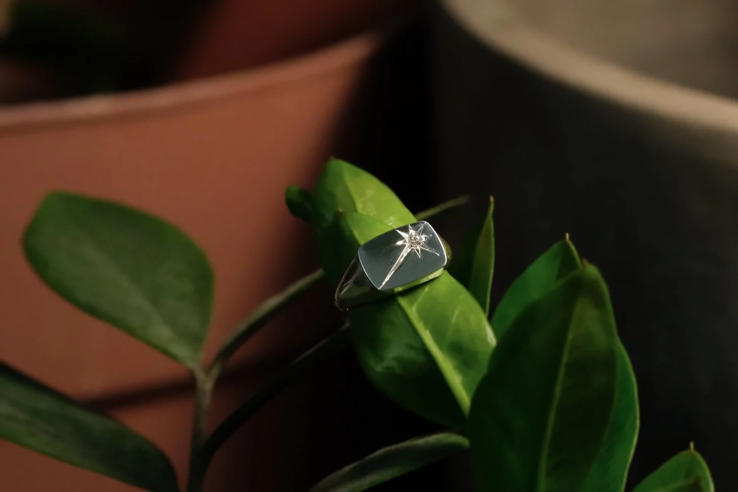 Star setting slash1.jpg