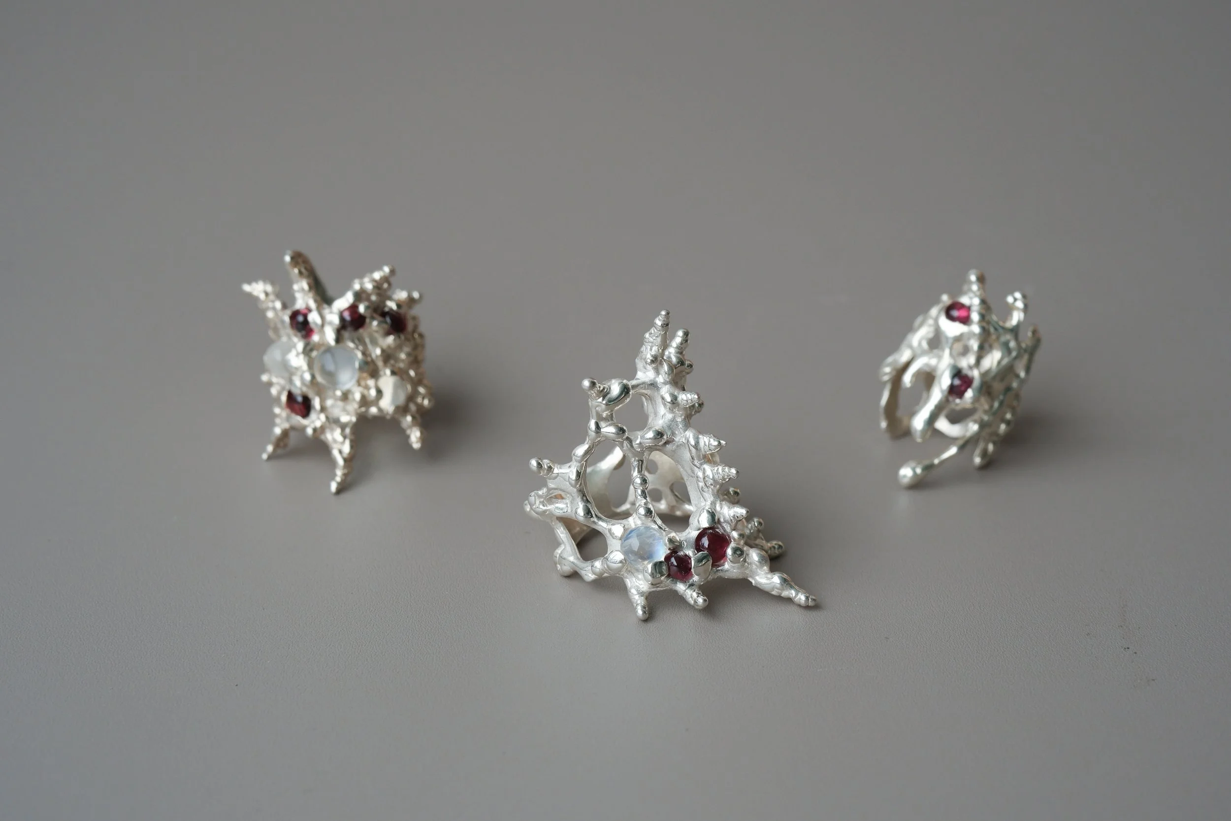 Symbiosis Ring group 1.jpg (Copy)