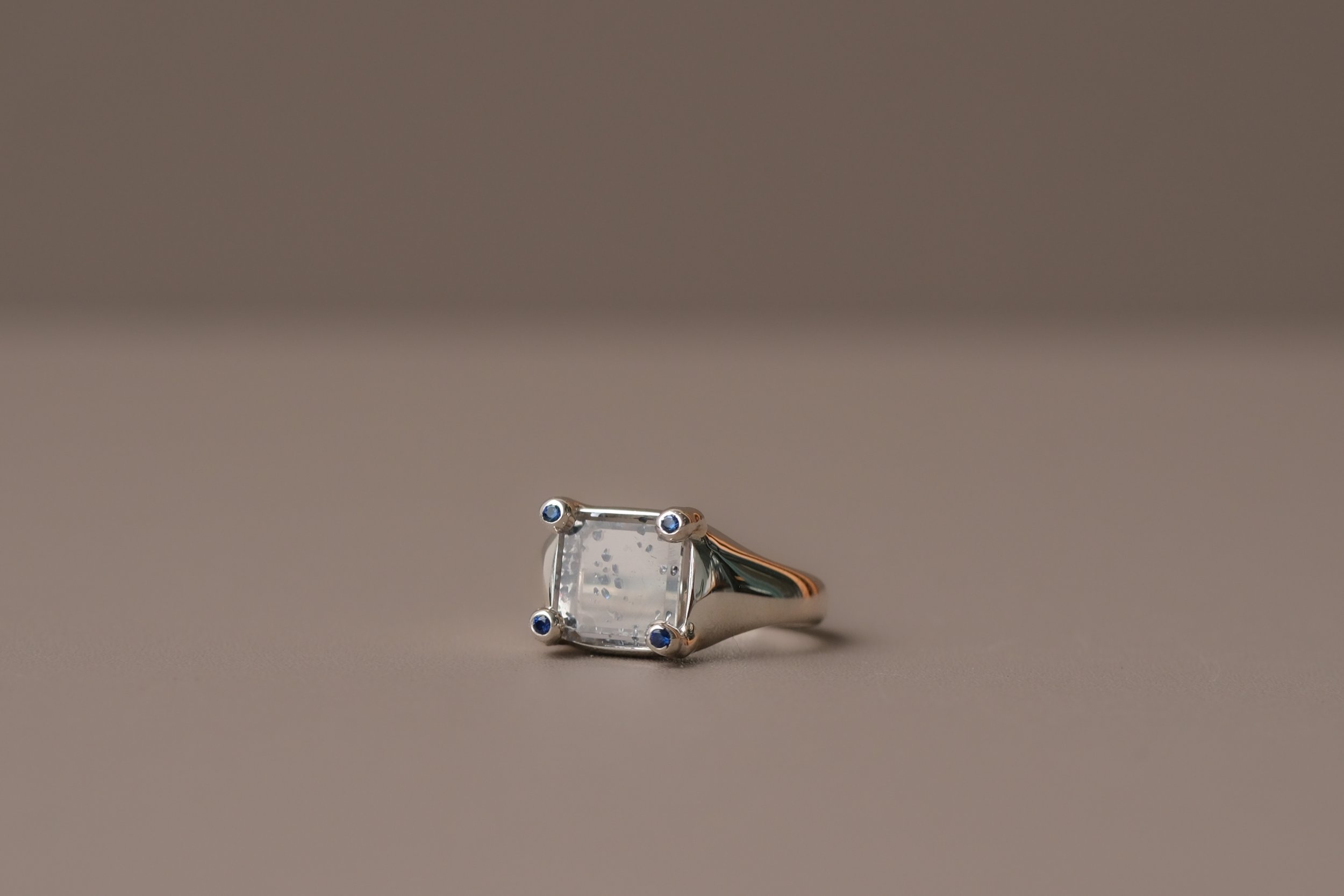 Ocean Ring ll by Shirley Yu3.jpg