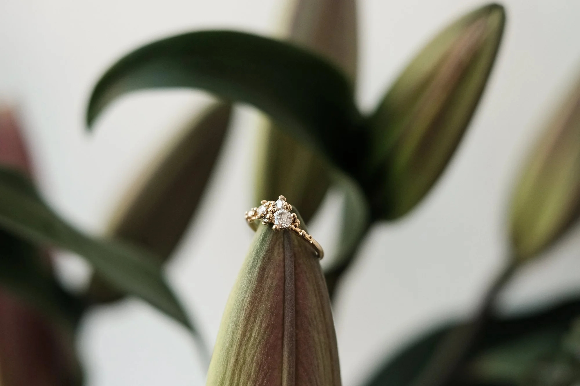 Diamond Stardust Cluster Ring by Belinda Chang 01 copy.jpg