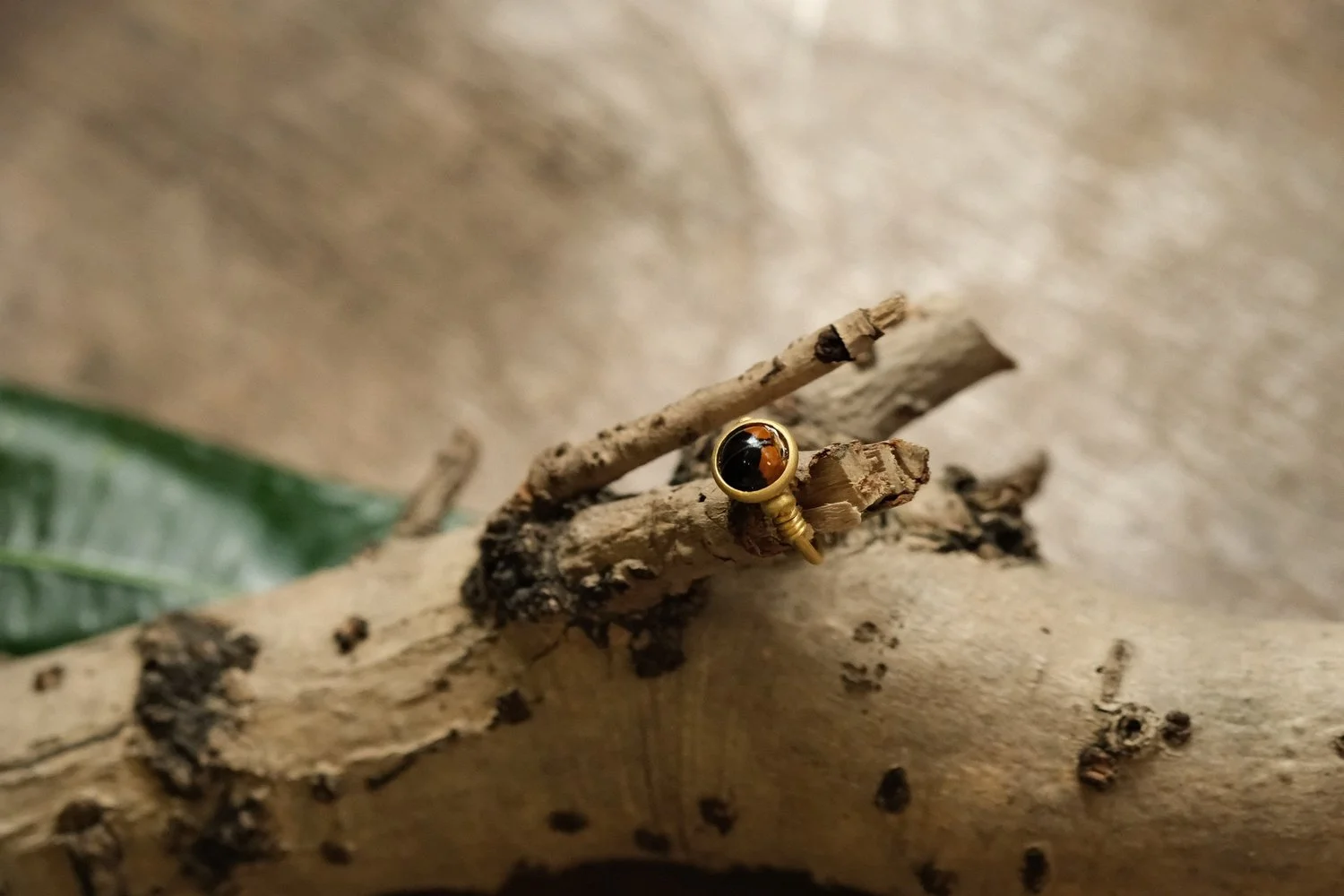 Jewel Beetle Ring X 3.jpg