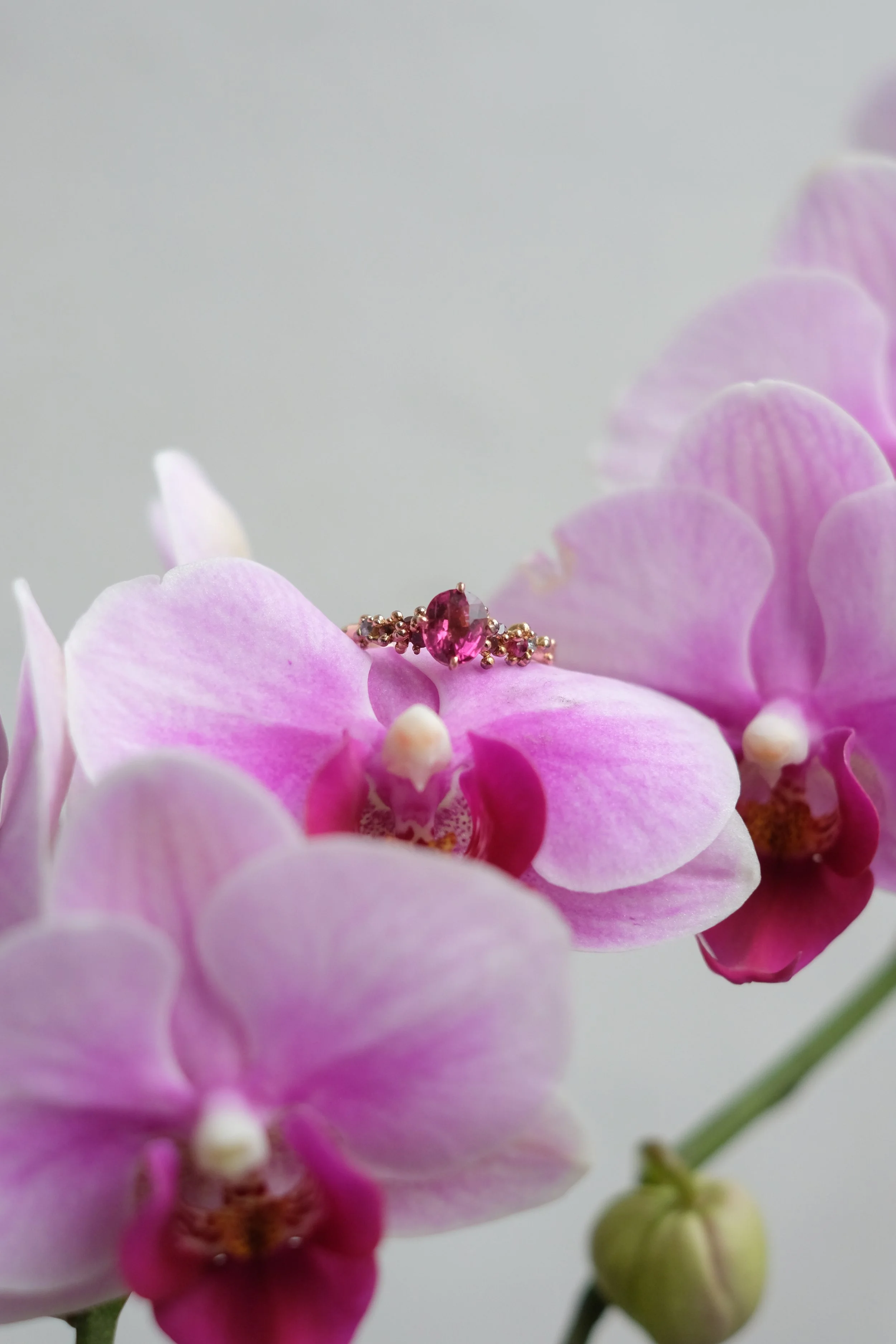 Custom order 23 by Belinda Chang 08.jpg