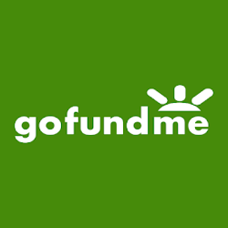 gofundme.com.png