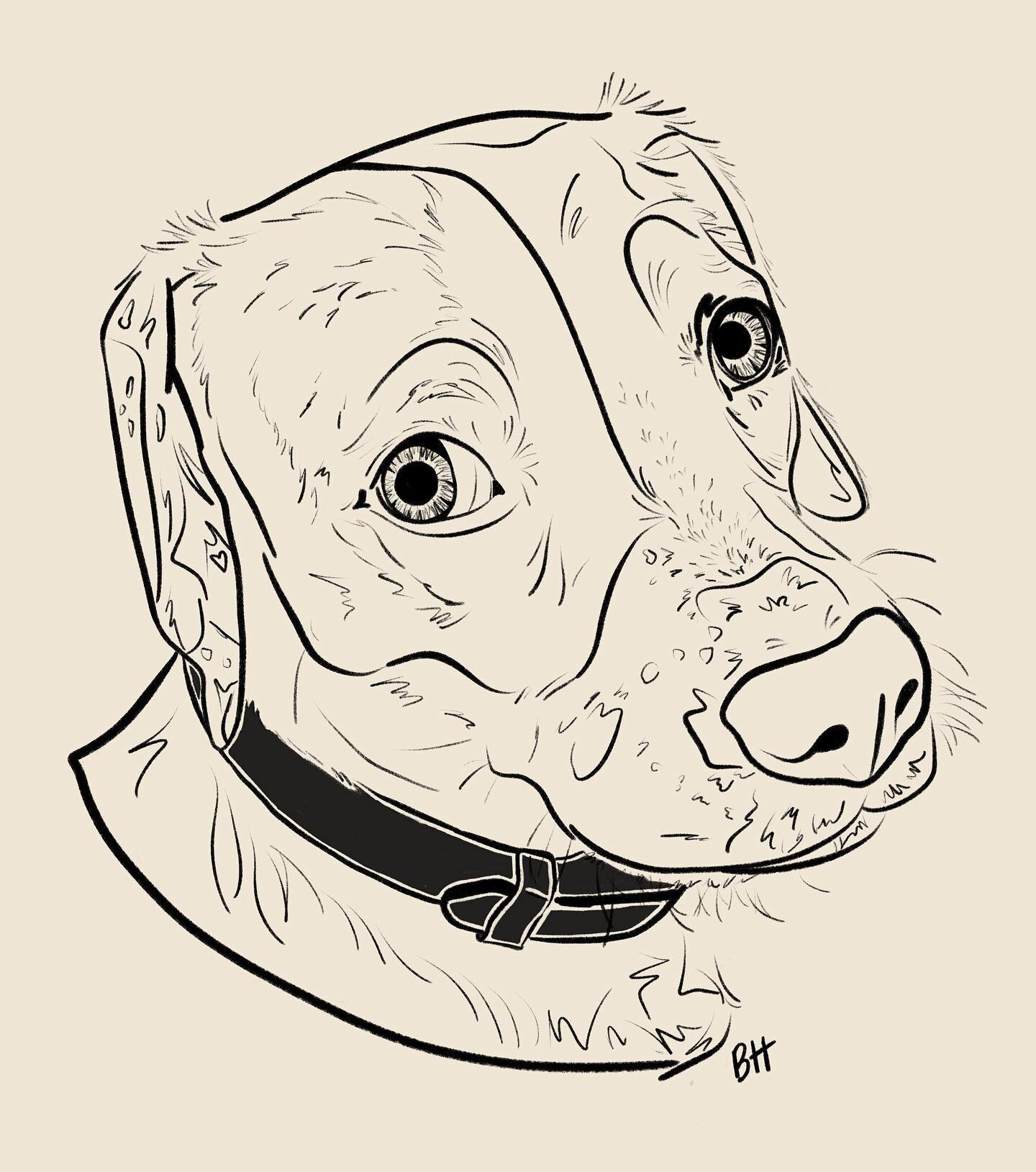 Wow I haven&rsquo;t done a dog portrait in a while and I LOVE how this one turned out. I think I&rsquo;m doing a &lsquo;painted&rsquo; version with color as well soon, stay tuned!