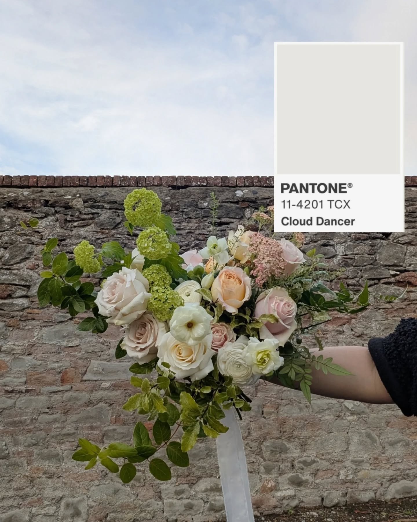 What do you think of Pantone's 2026 colour of the year? I think it's super boring if I'm honest 😂 BUT I do like the description of Cloud Dancer as being a 'billowy white' because I actually love a billowy, ruffly, soft, petally bouquet.

#pantonecol