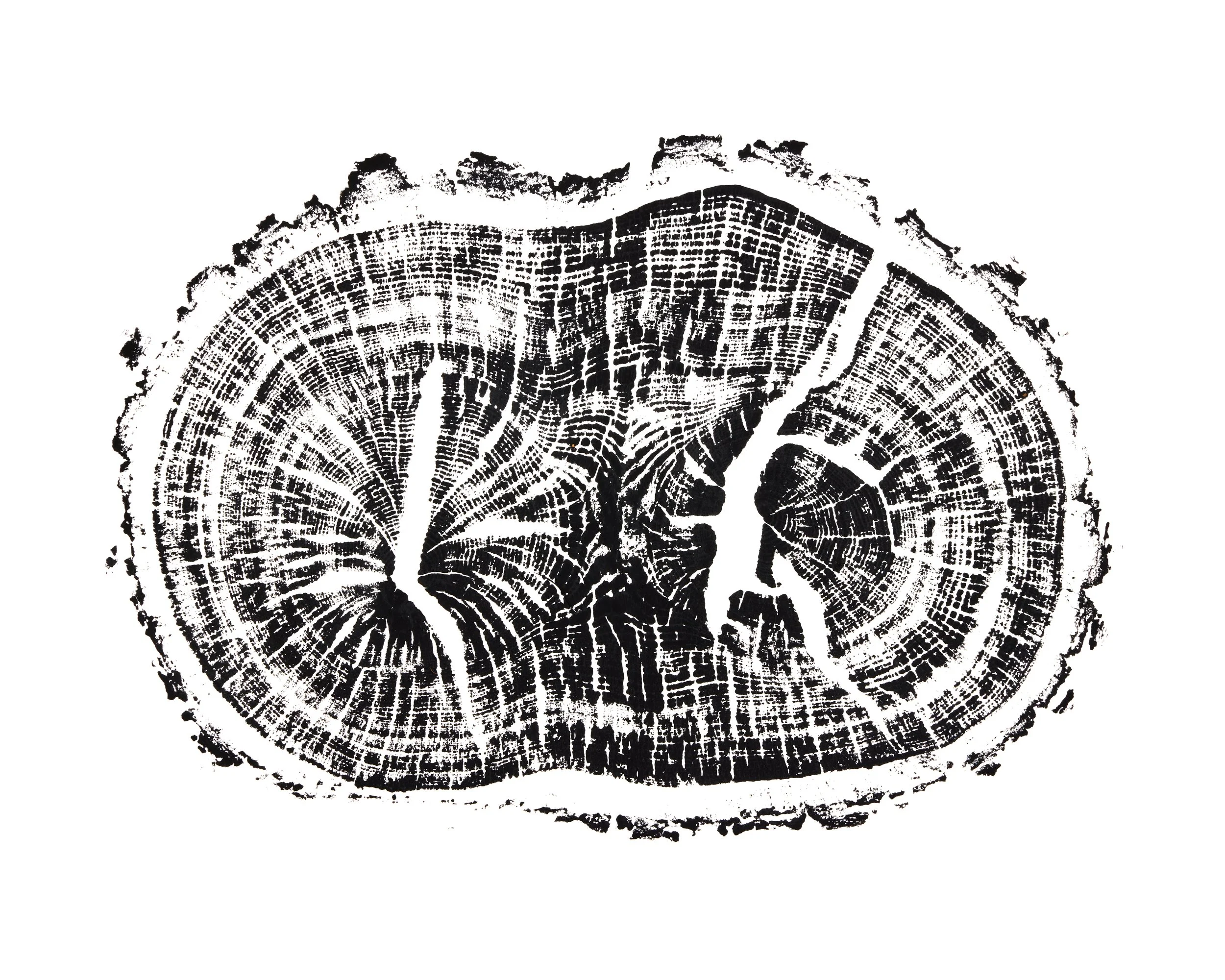 RED OAK_FOR PRINT.jpg