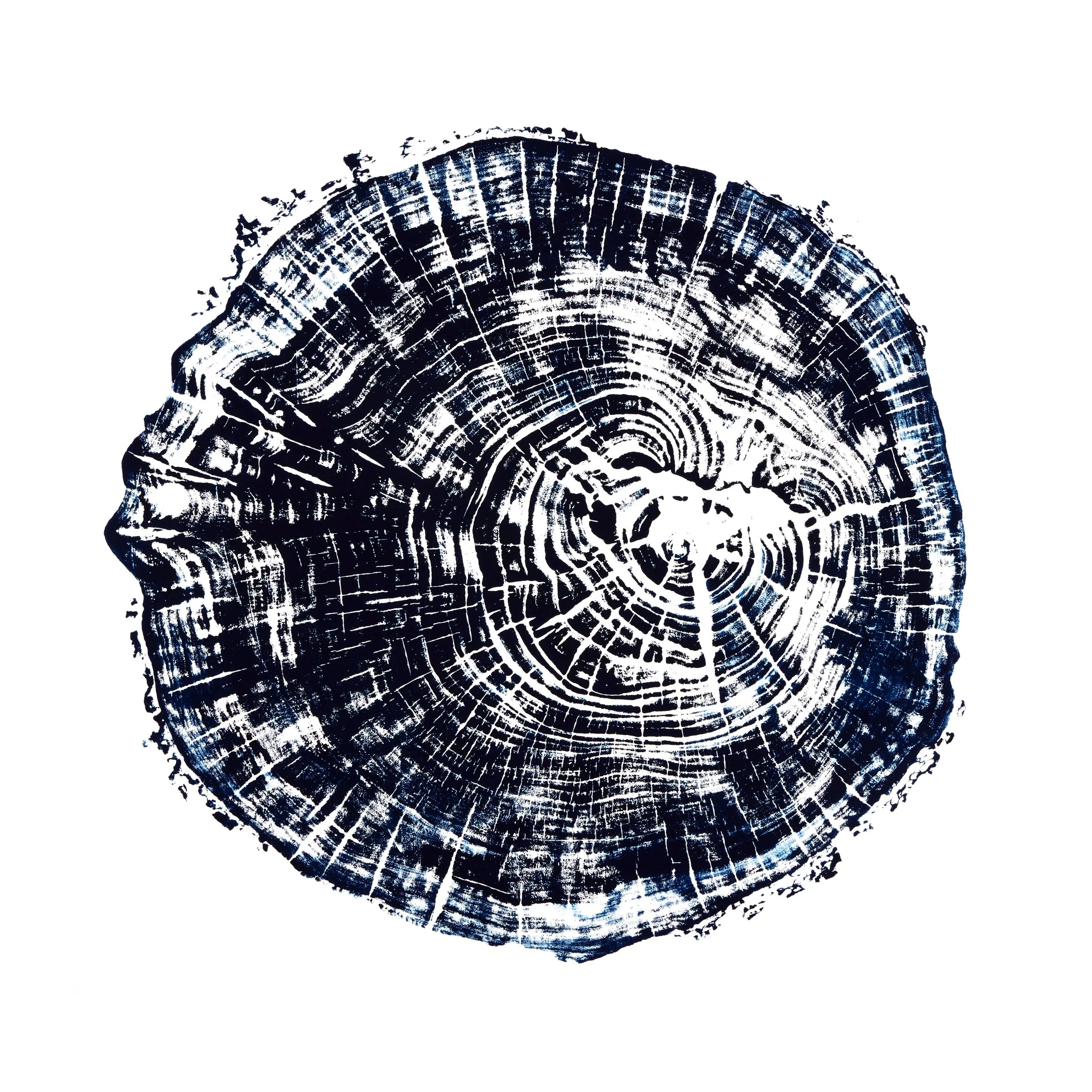 WALNUT_FOR PRINT.jpg