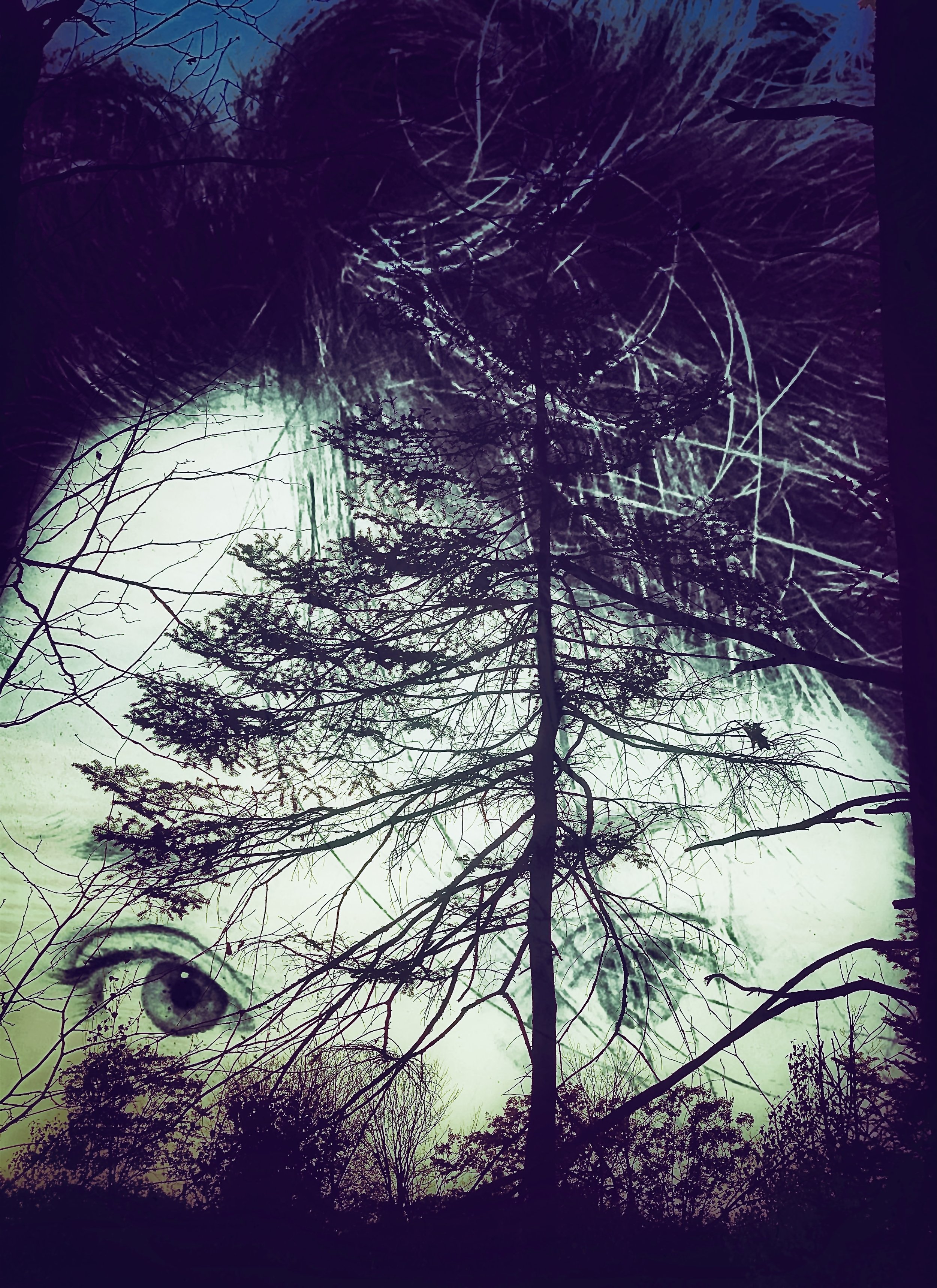 The Woods are Watching - Digital Image ©2020