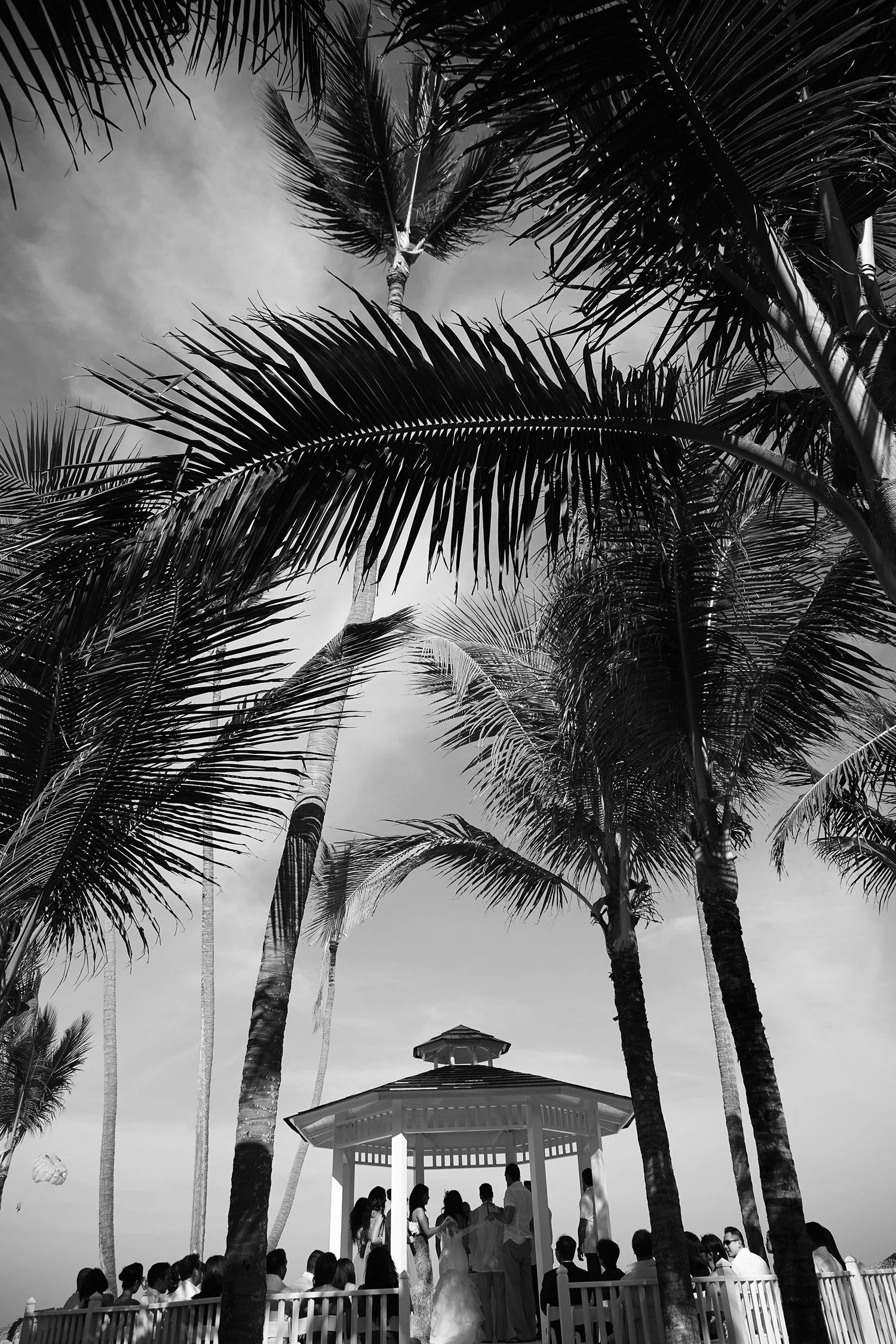 Romantic Rites  LR IMG_1382.jpg