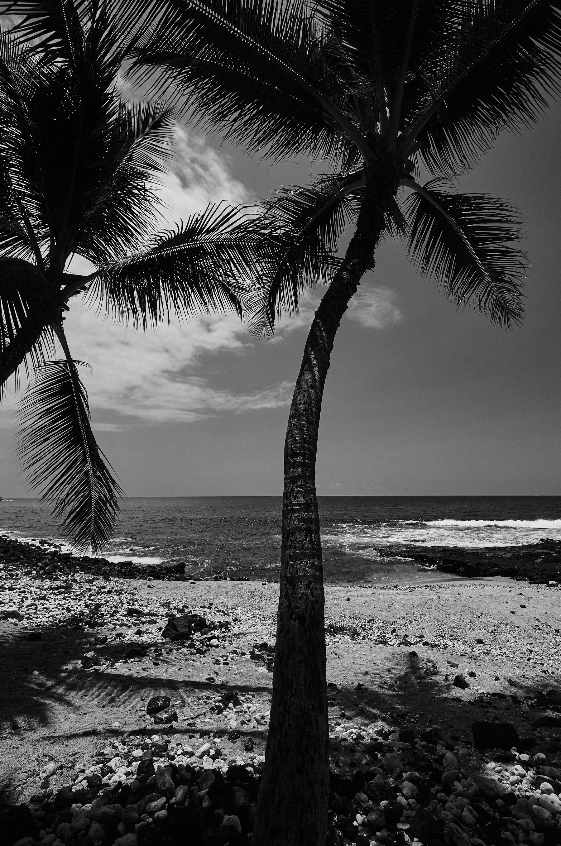 Josie & Brandon LR _MG_2047.jpg