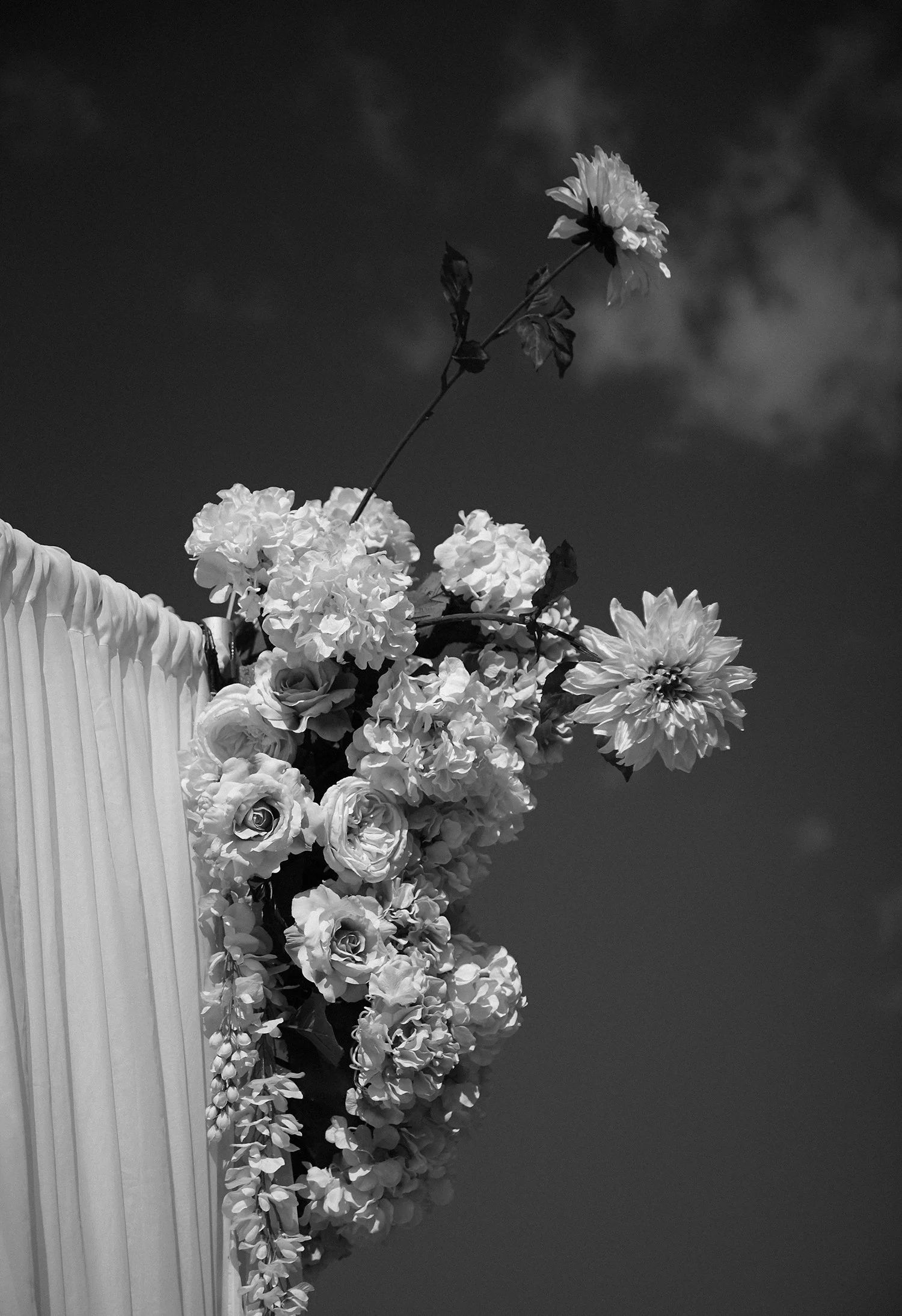 Romantic Rites  LR _MG_2385.jpg