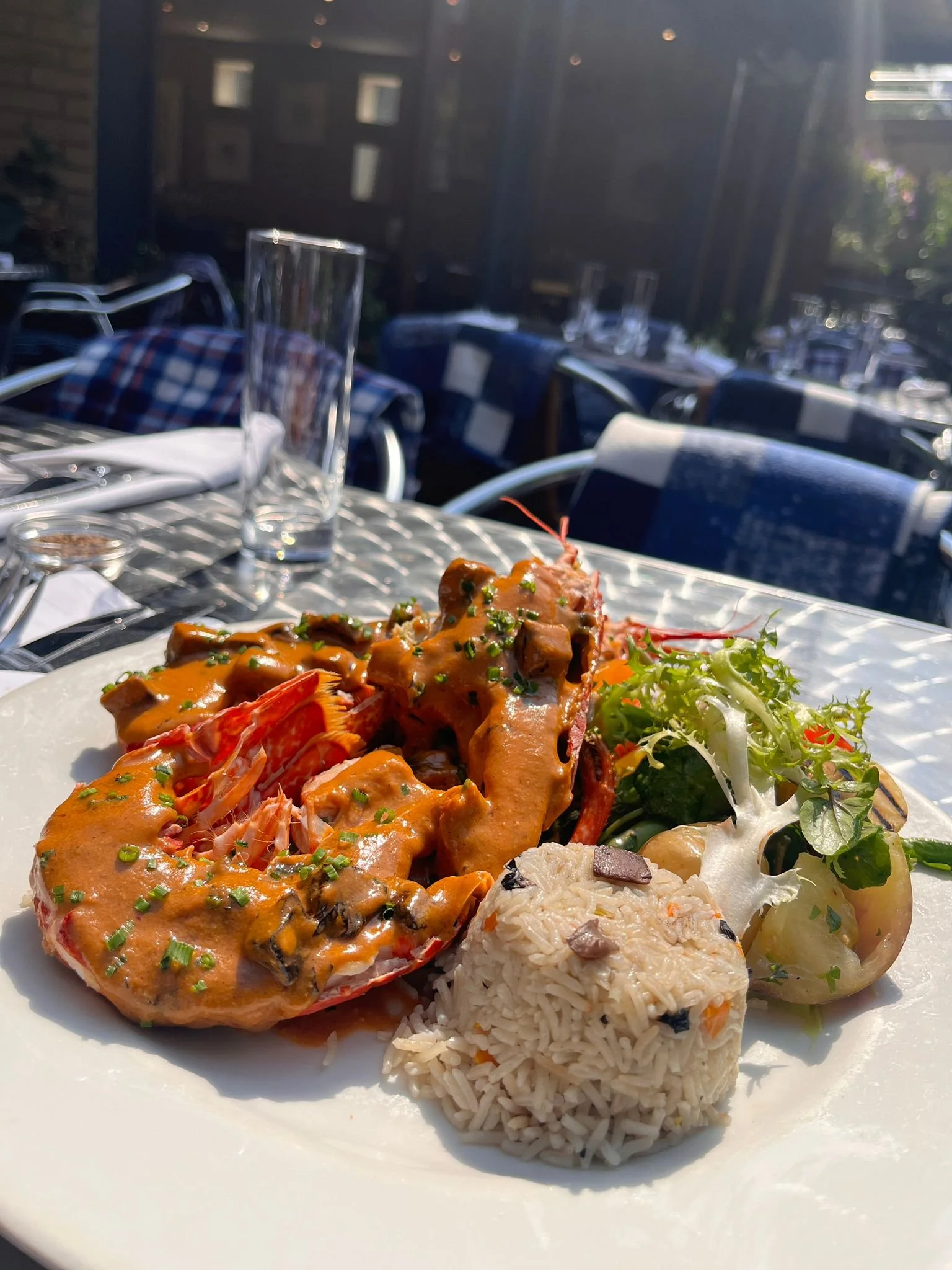 A plate of lobster with sauce, rice, and salad on an outdoor table at a restaurant.
