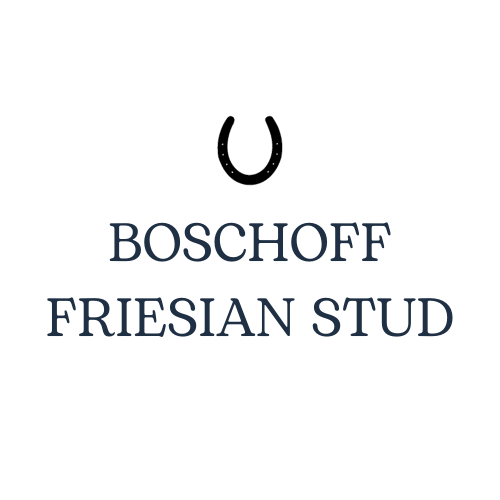 Boschoff Friesian Logo _ Mockup temp.png