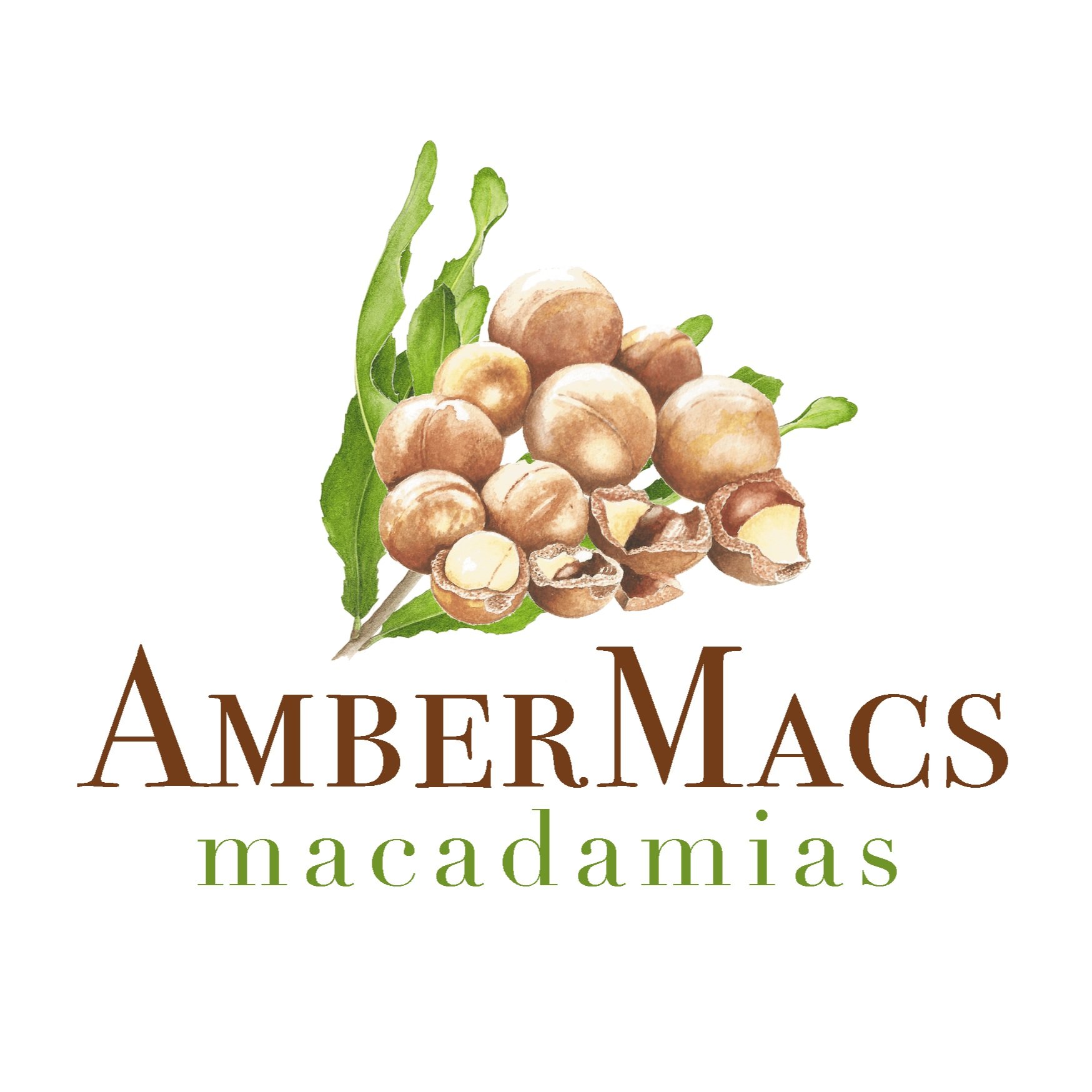 ambermacs-full-logo.jpg