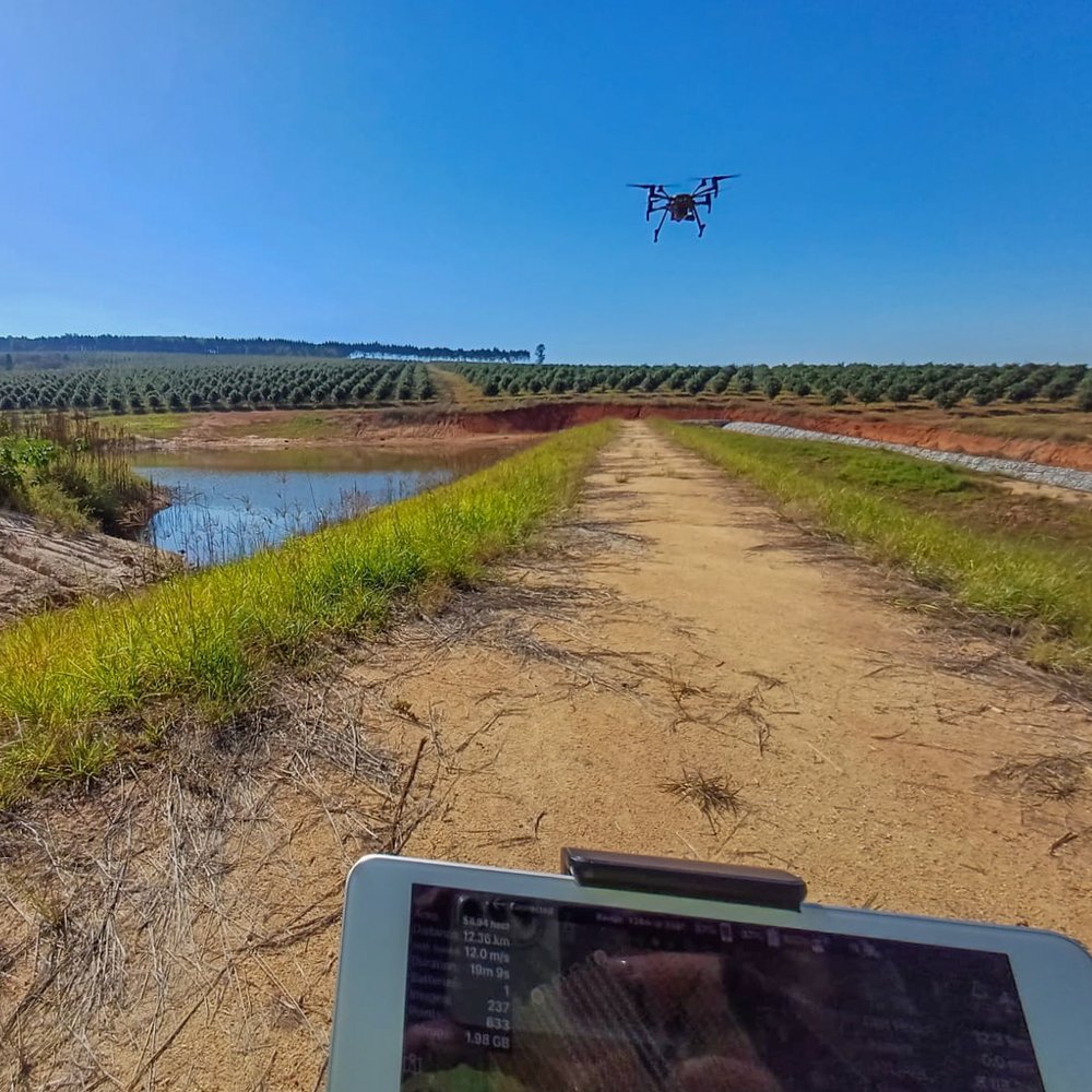 Agricultural surveys in Mpumalanga, Limpopo South Africa _ Macadamia Farming _ AGMO Drone Services_-2.jpg