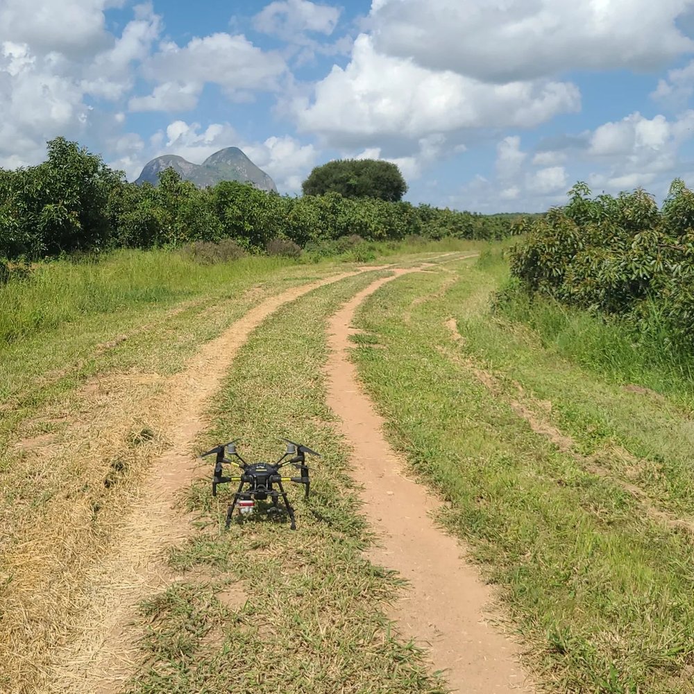 Drone Surveying Avocado Farming Mozambique _ AGMO Drone Services-4.jpeg
