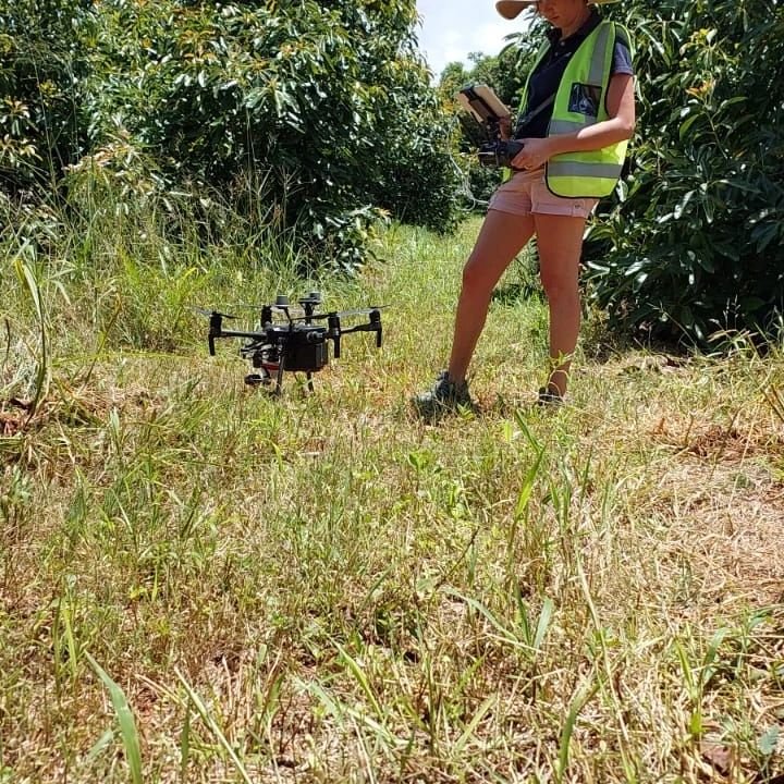 Drone Surveying Avocado Farming Mozambique _ AGMO Drone Services-2.jpeg
