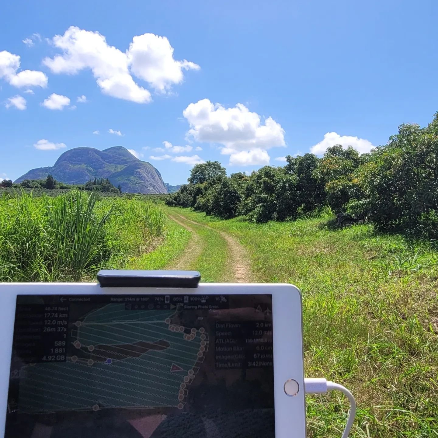 Drone Surveying Avocado Farming Mozambique _ AGMO Drone Services-1.jpeg